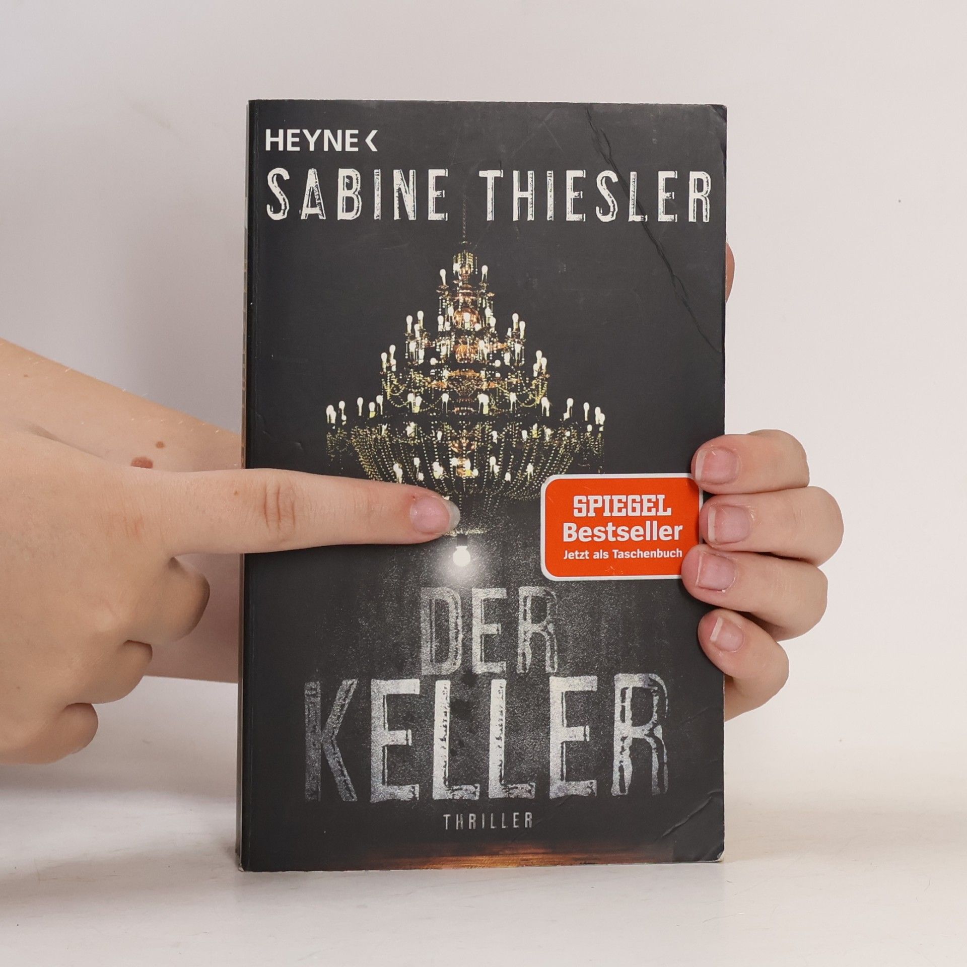 Sabine Thiesler Der Keller