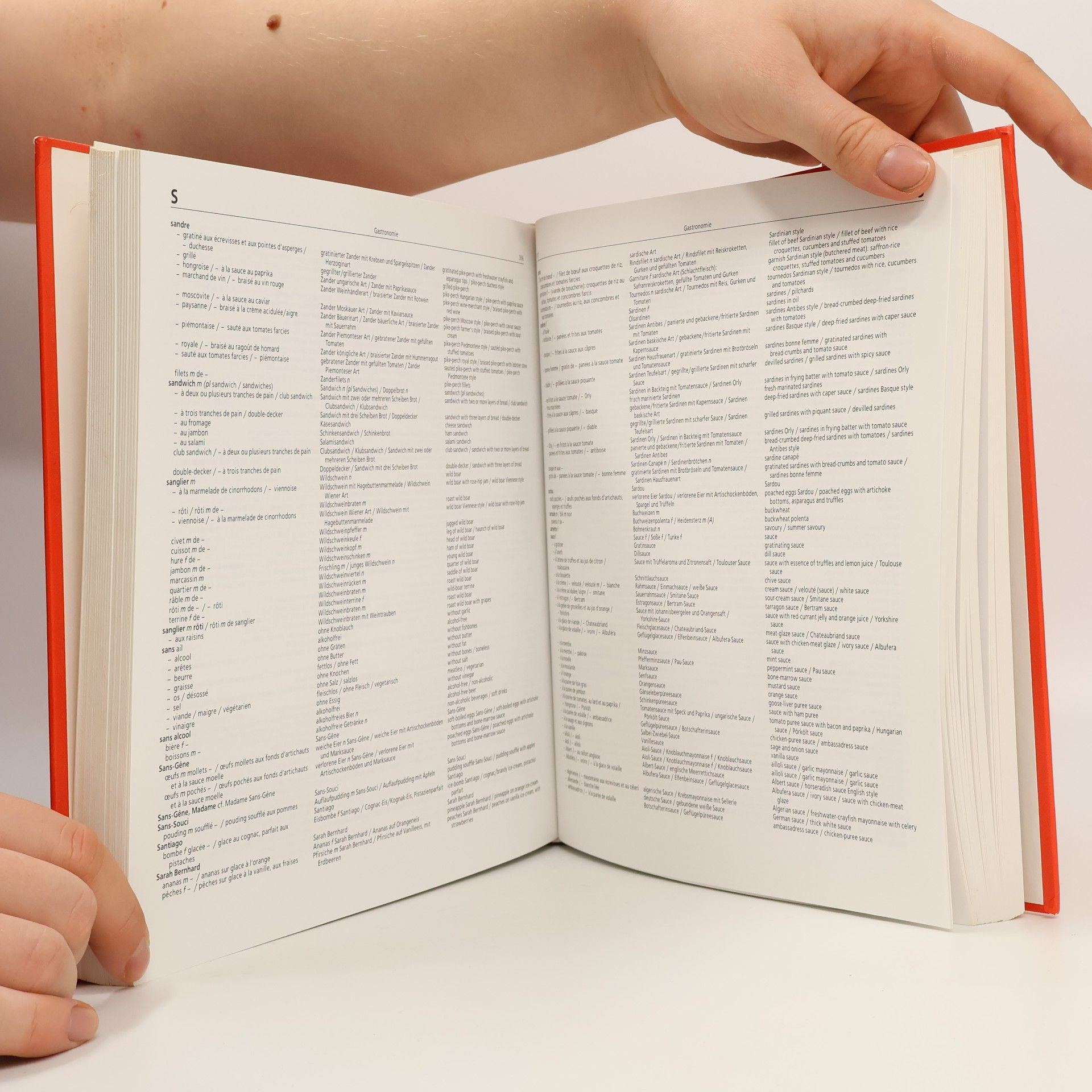 Duboux Dictionary of Gastronomy - Hotels - Tourism