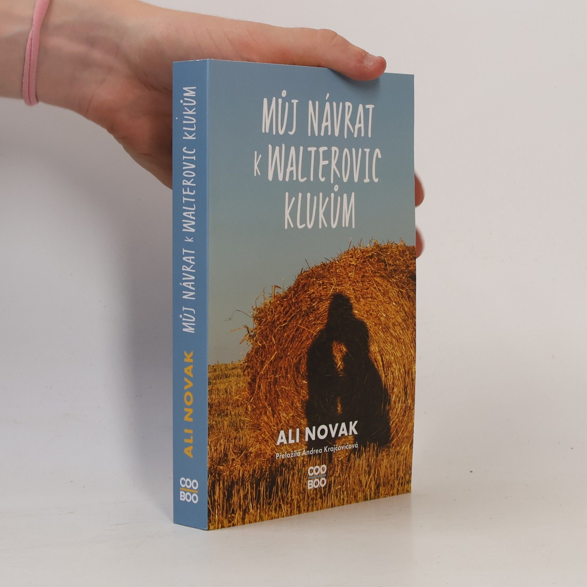 Ali Novak Můj návrat k Walterovic klukům