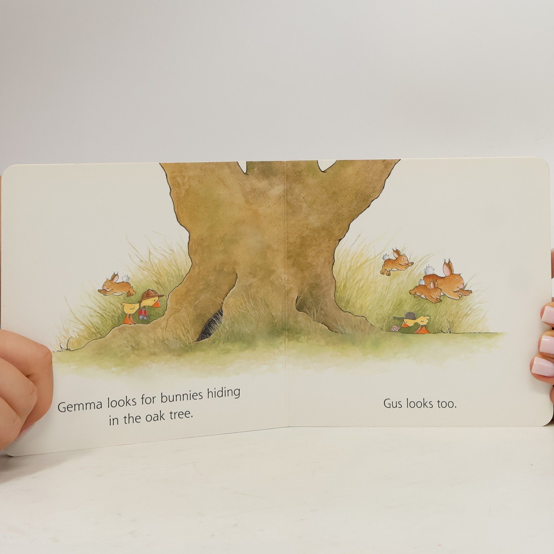 Olivier Dunrea Gemma & Gus Board Book