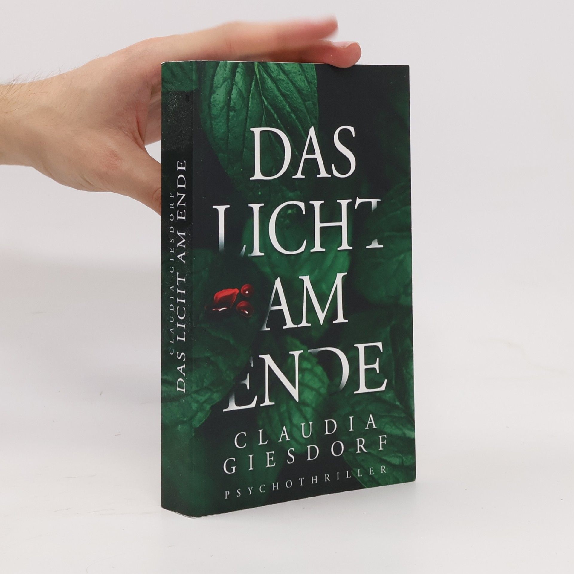 Claudia Giesdorf Das Licht am Ende
