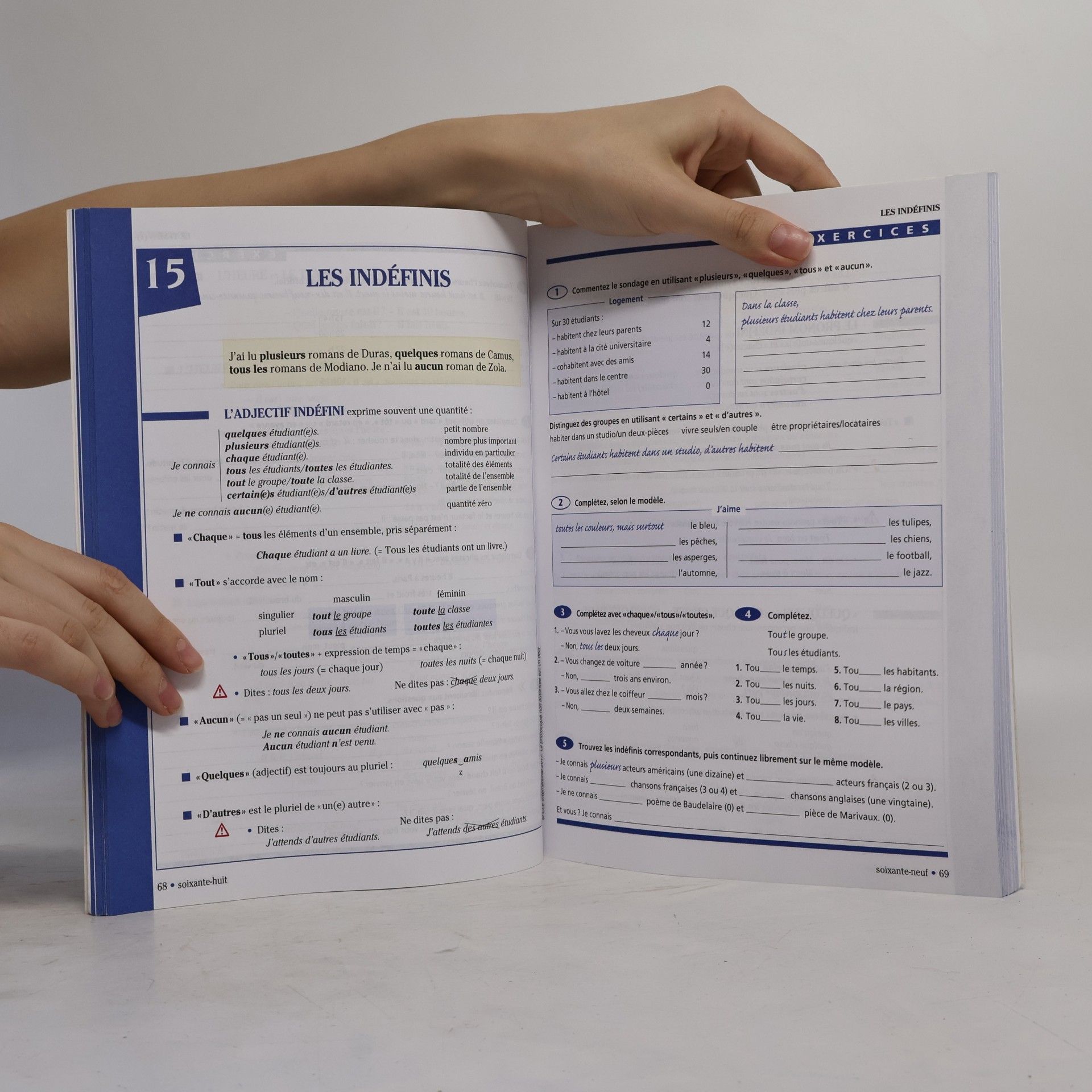 Maïa Grégoire Grammaire progressive du français. Intermédiaire