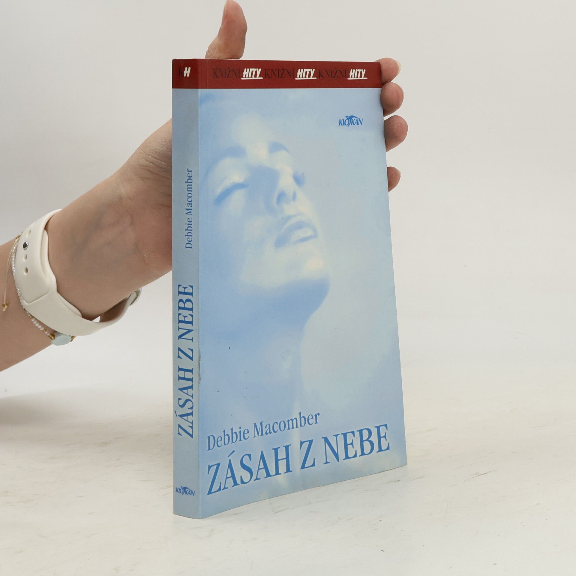 Debbie MacComber Zásah z nebe
