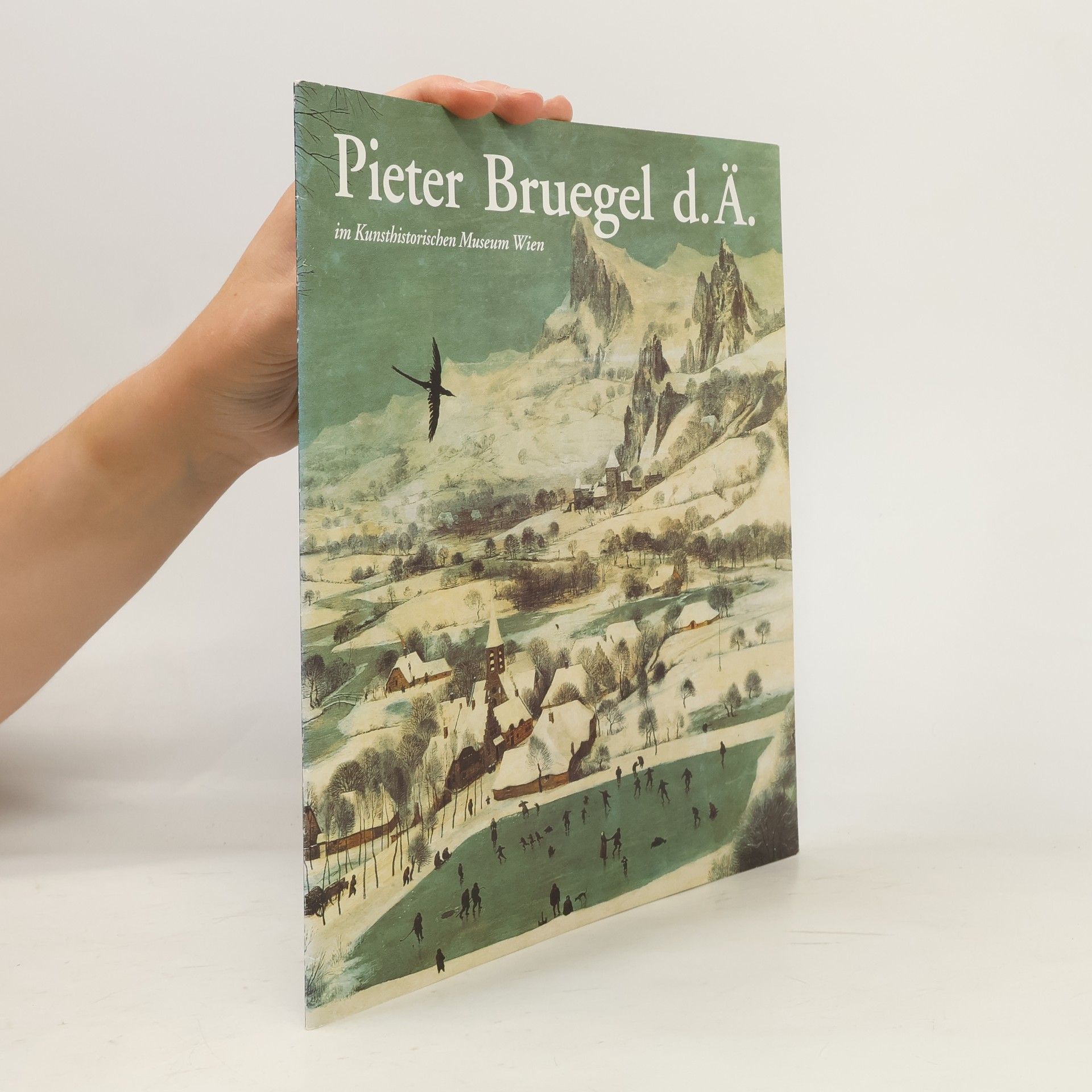 Pieter Bruegel d. Ä. im Kunsthistorischen Museum Wien