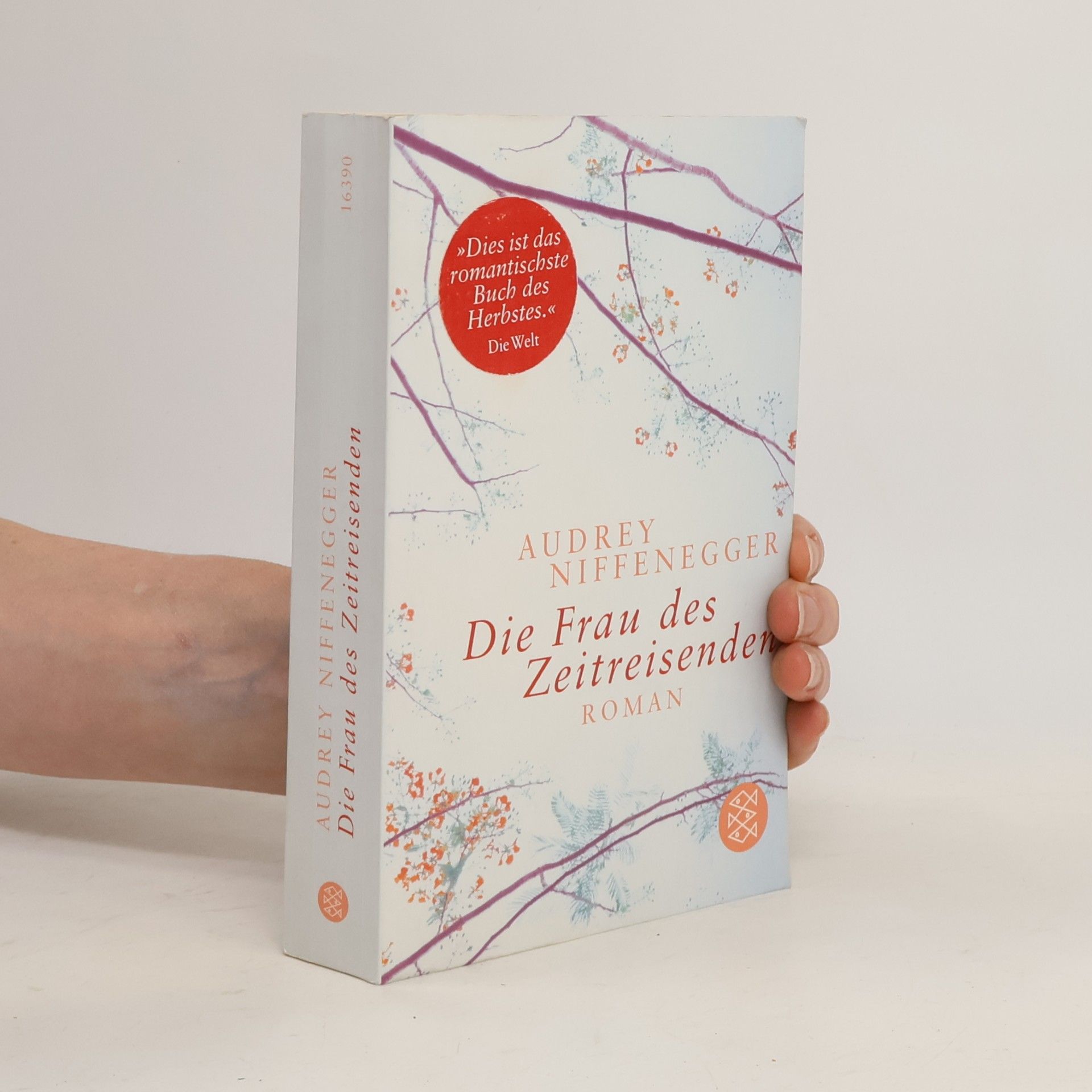 Audrey Niffenegger Die Frau des Zeitreisenden