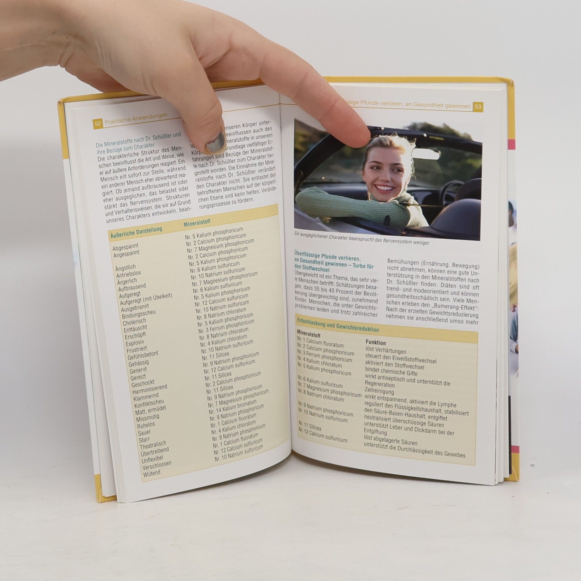 Autorenkollektiv Schüßlersalze: 12 wichtige Mineralstoffverbindungen; Lebens- und Selbstheilungskräfte stärken