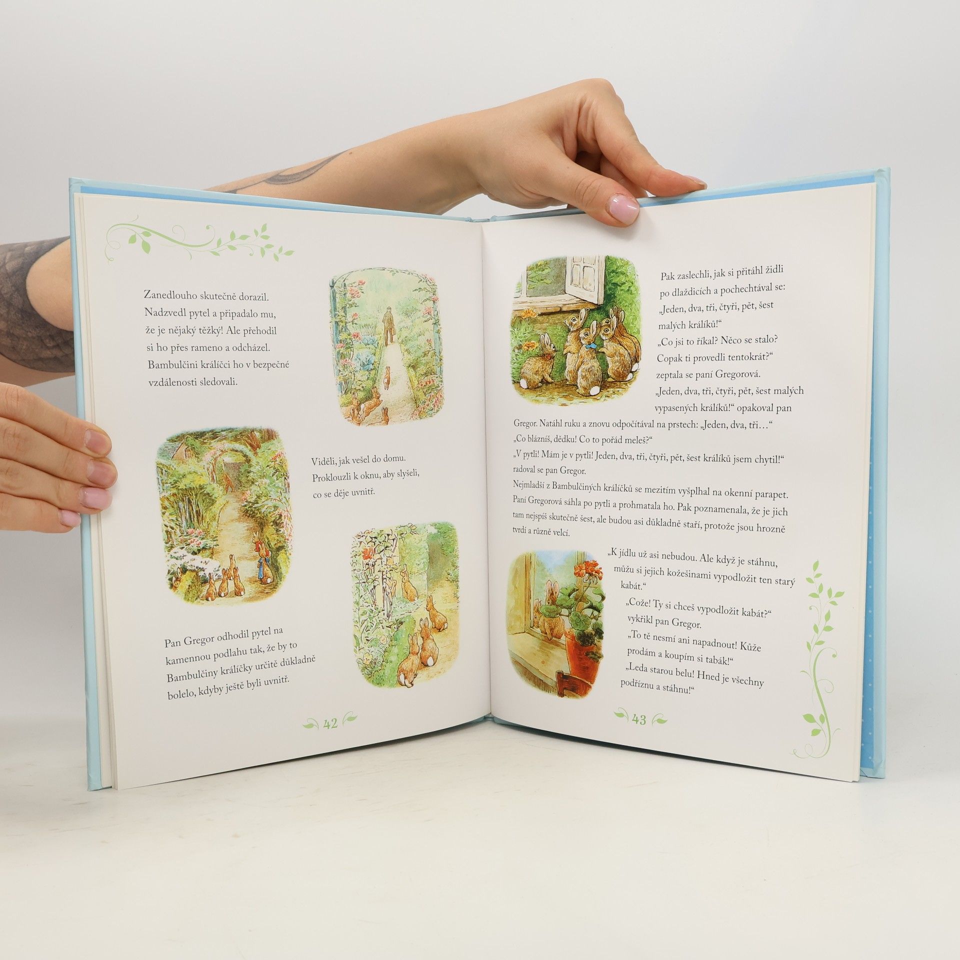 Beatrix Potter Příběhy králíčka Petra