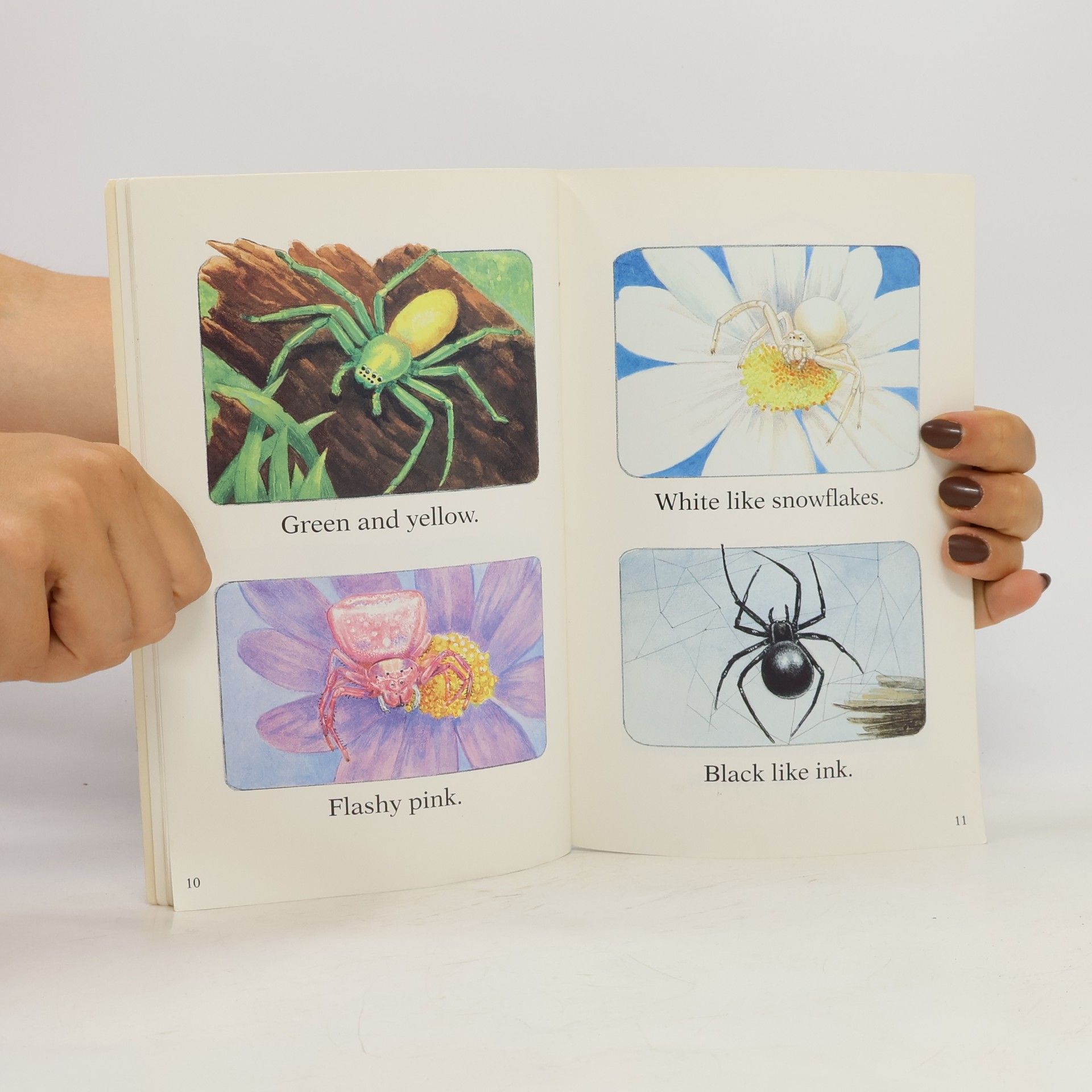 Fay Robinson Hello Reader!: Mighty Spiders!