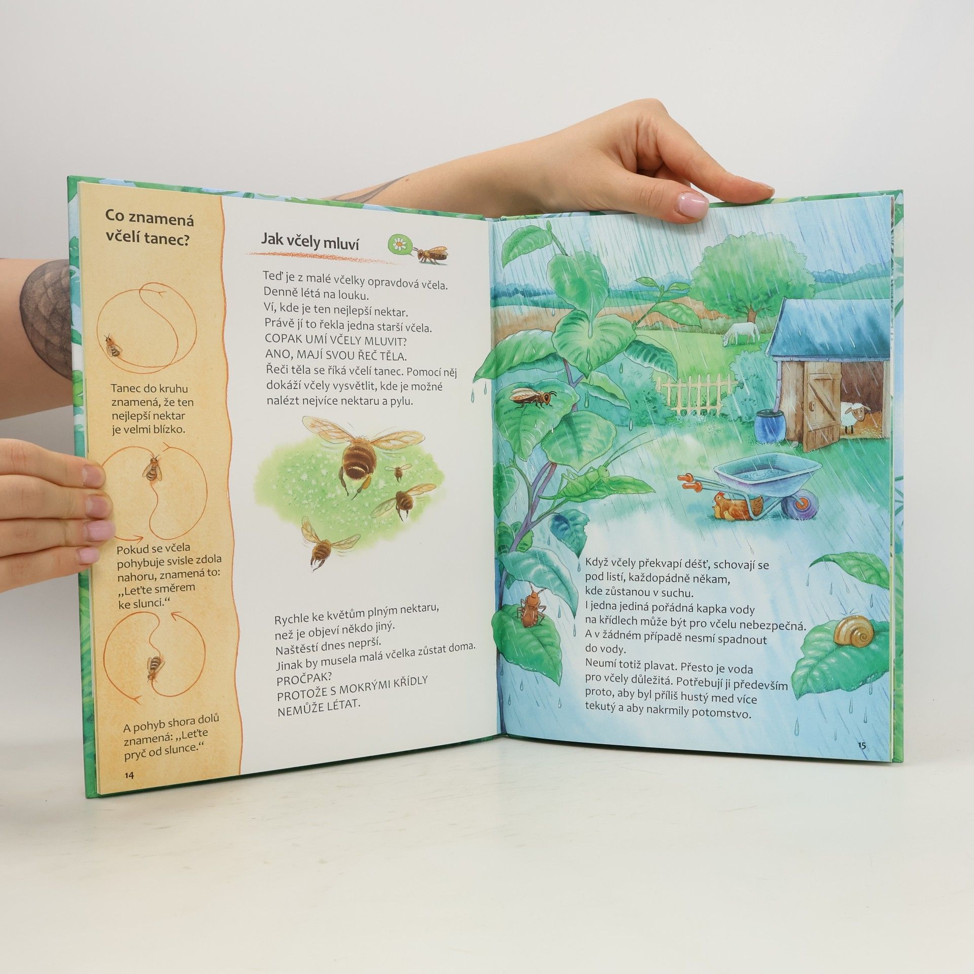 Friederun Reichenstetter Včelky - Jak vyrůstají a žijí?