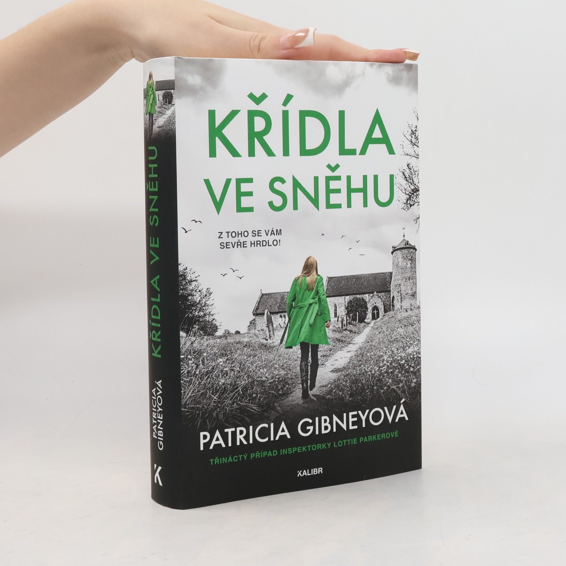 Patricia Gibney Křídla ve sněhu