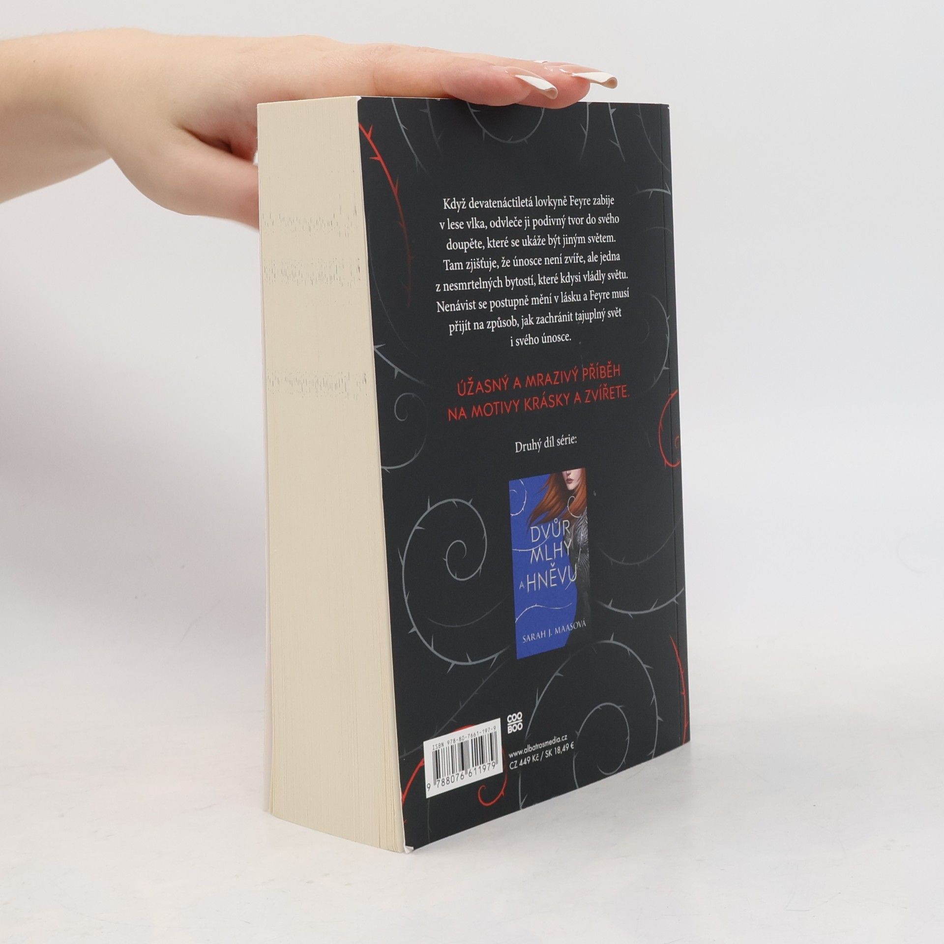 Sarah J. Maas Dvůr trnů a růží