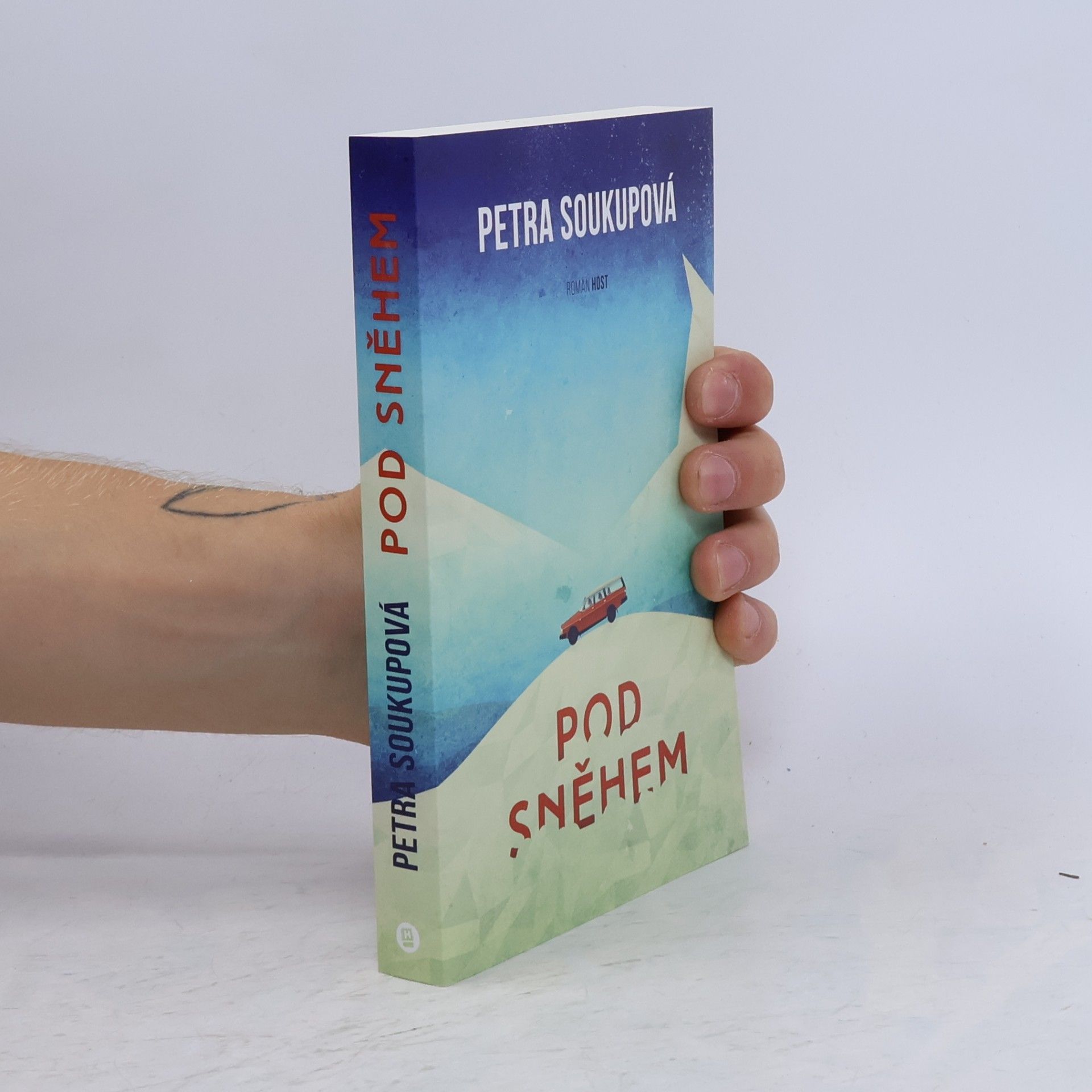 Petra Soukupova Pod sněhem