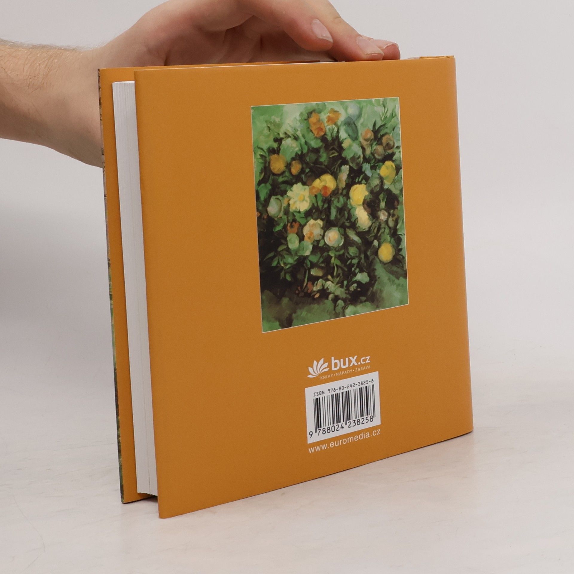 Collectif d'auteurs Cézanne
