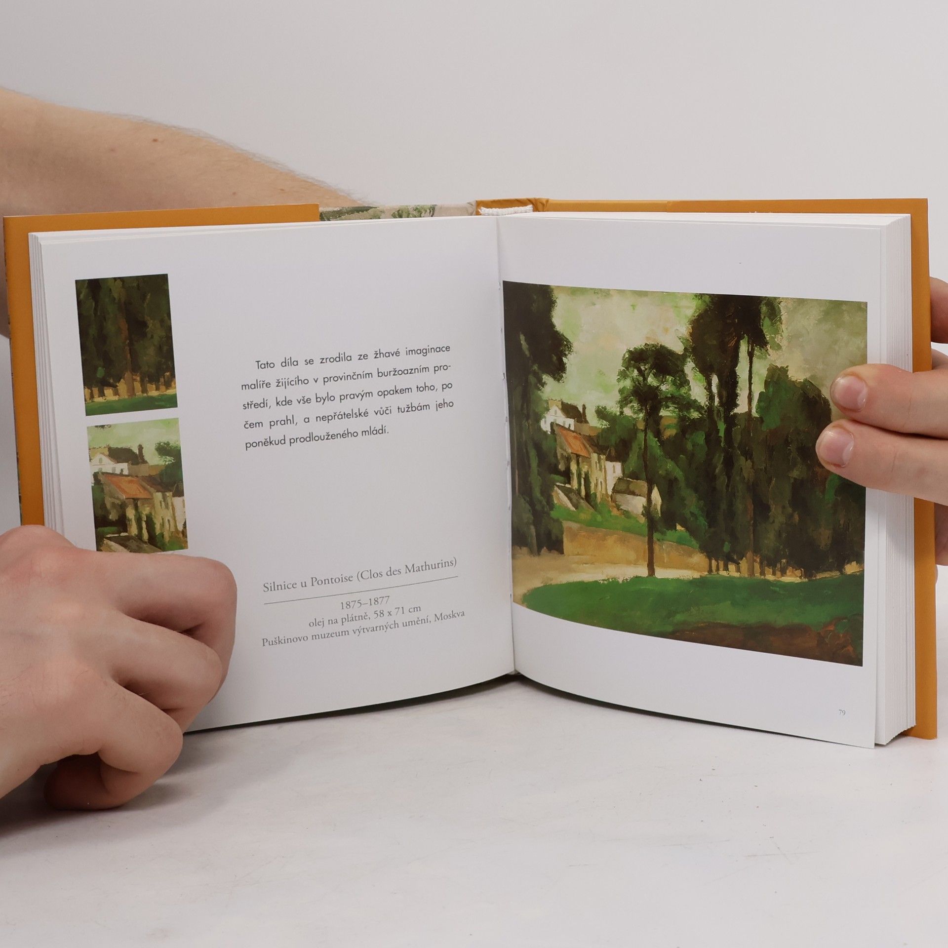 Collectif d'auteurs Cézanne