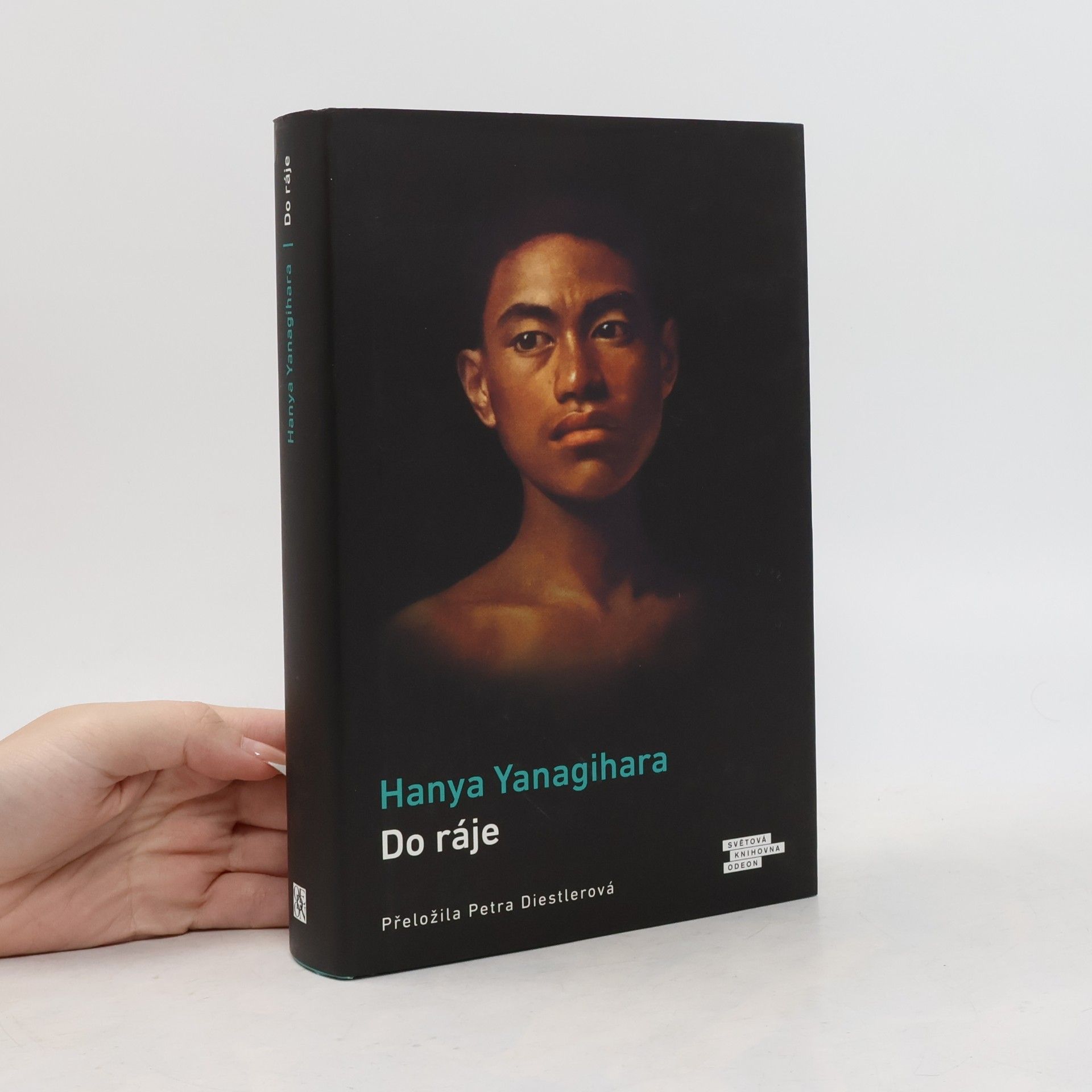 Hanya Yanagihara Do ráje