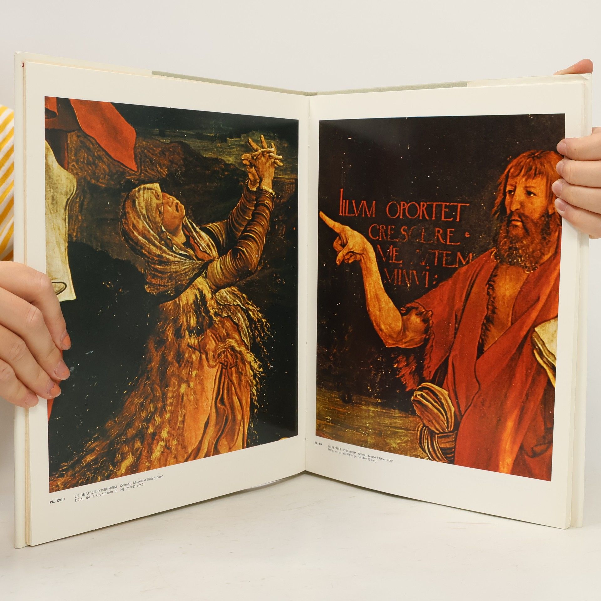 Matthias Grünewald Tout l'oeuvre peint de Grünewald