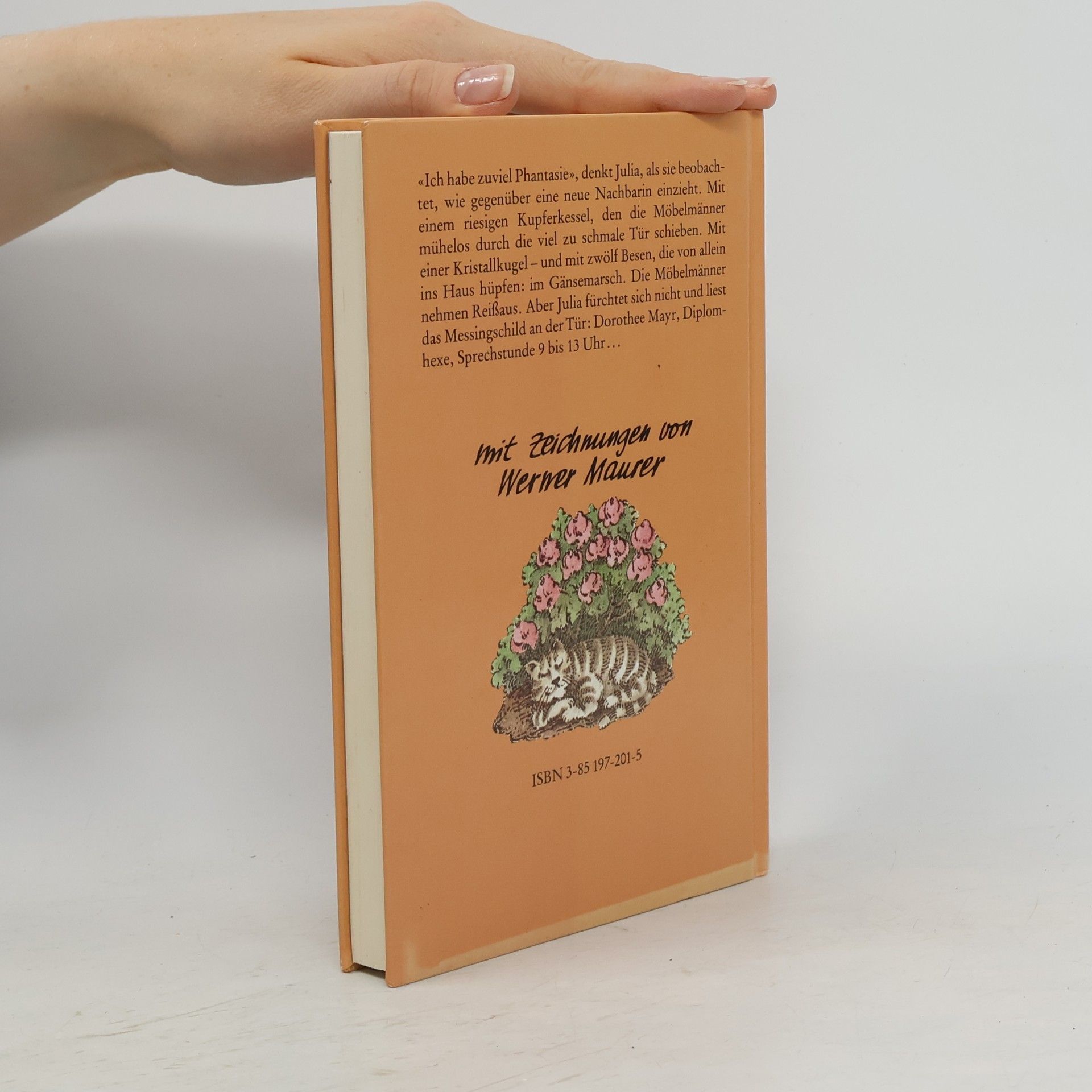 Walter Wippersberg Julias Hexe : eine Kindergeschichte