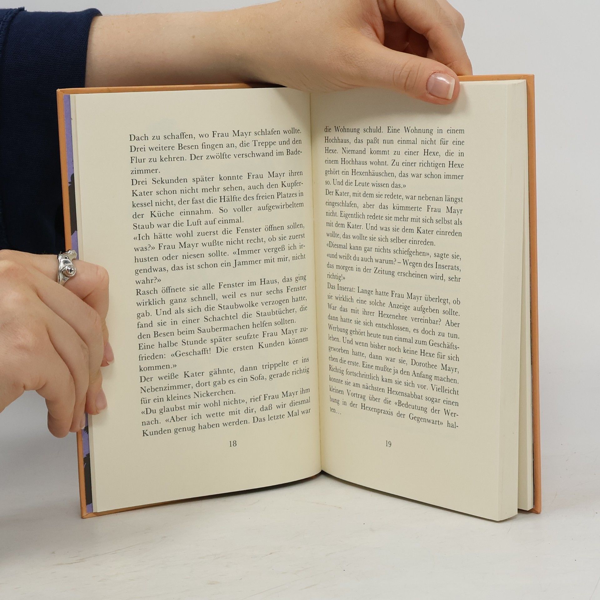 Walter Wippersberg Julias Hexe : eine Kindergeschichte