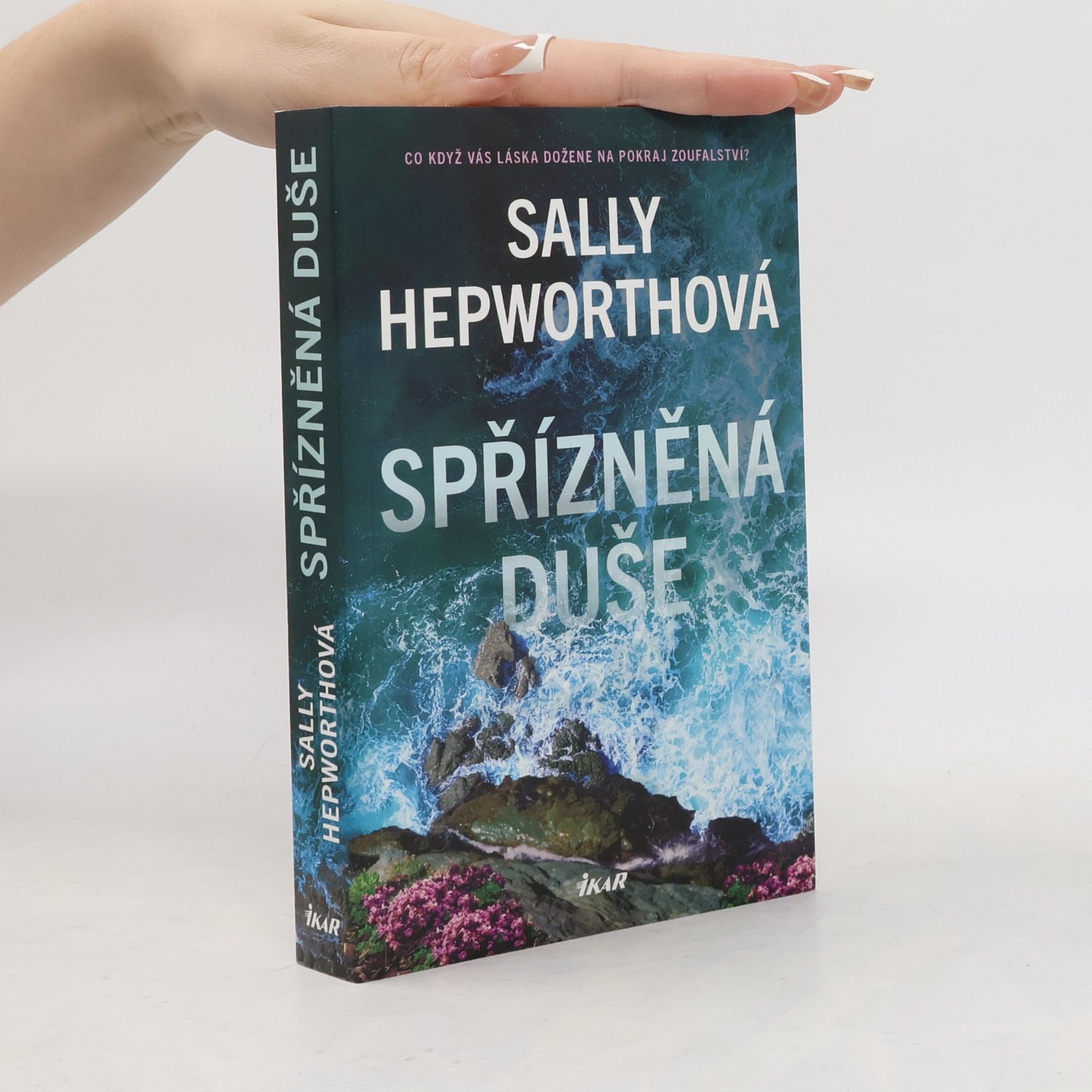 Sally Hepworth Spřízněná duše