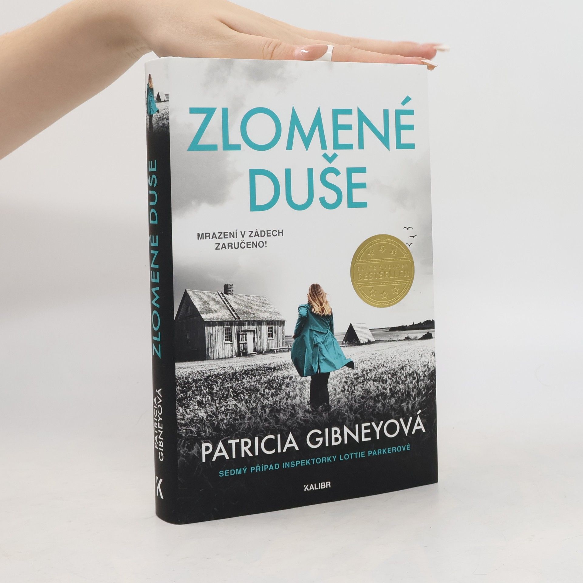Patricia Gibney Zlomené Duše