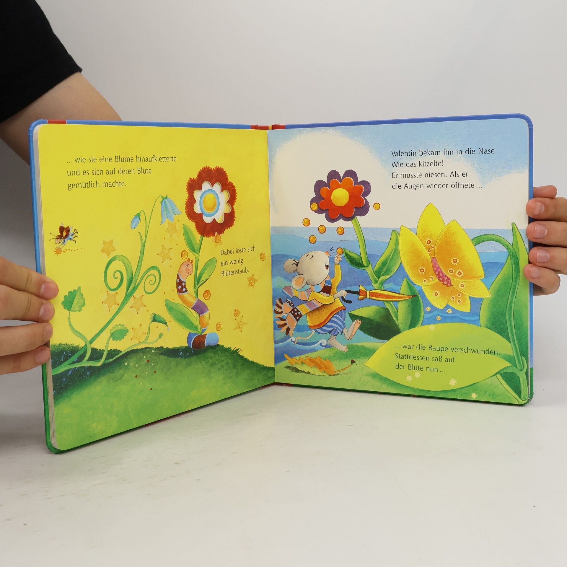 Hans-Christian Schmidt Bücher für die Kleinsten: Der kleine Valentin