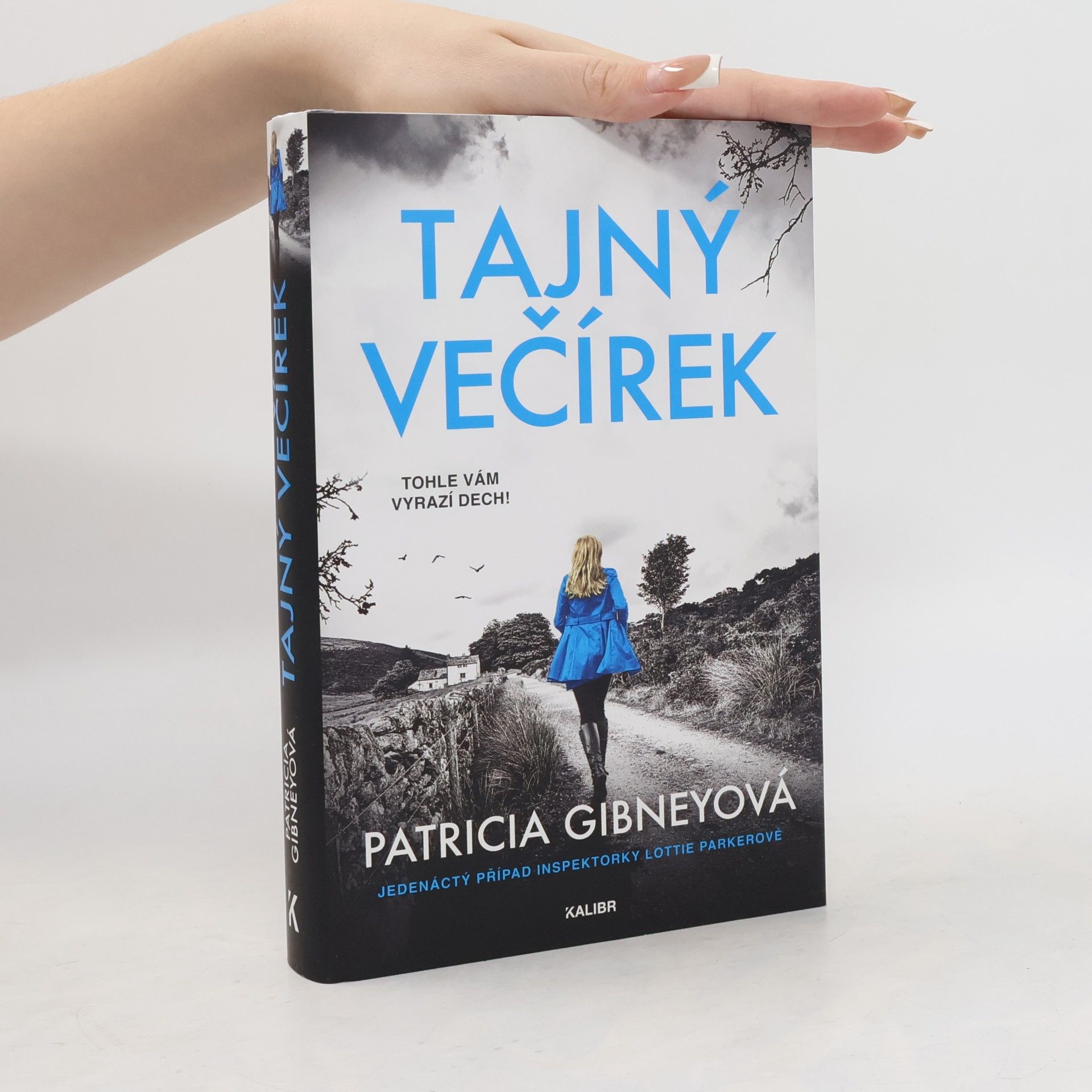 Patricia Gibney Tajný večírek