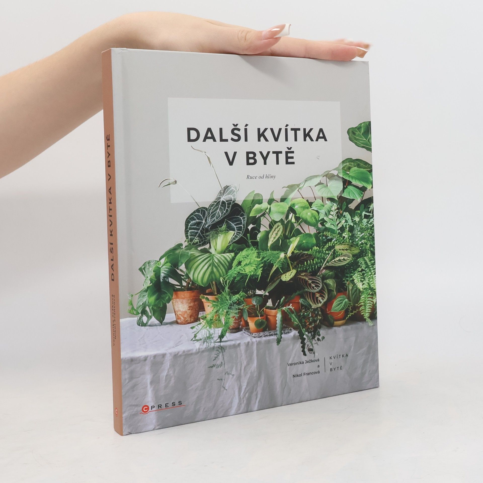 Nikol Francová Další kvítka v bytě : Ruce od hlíny