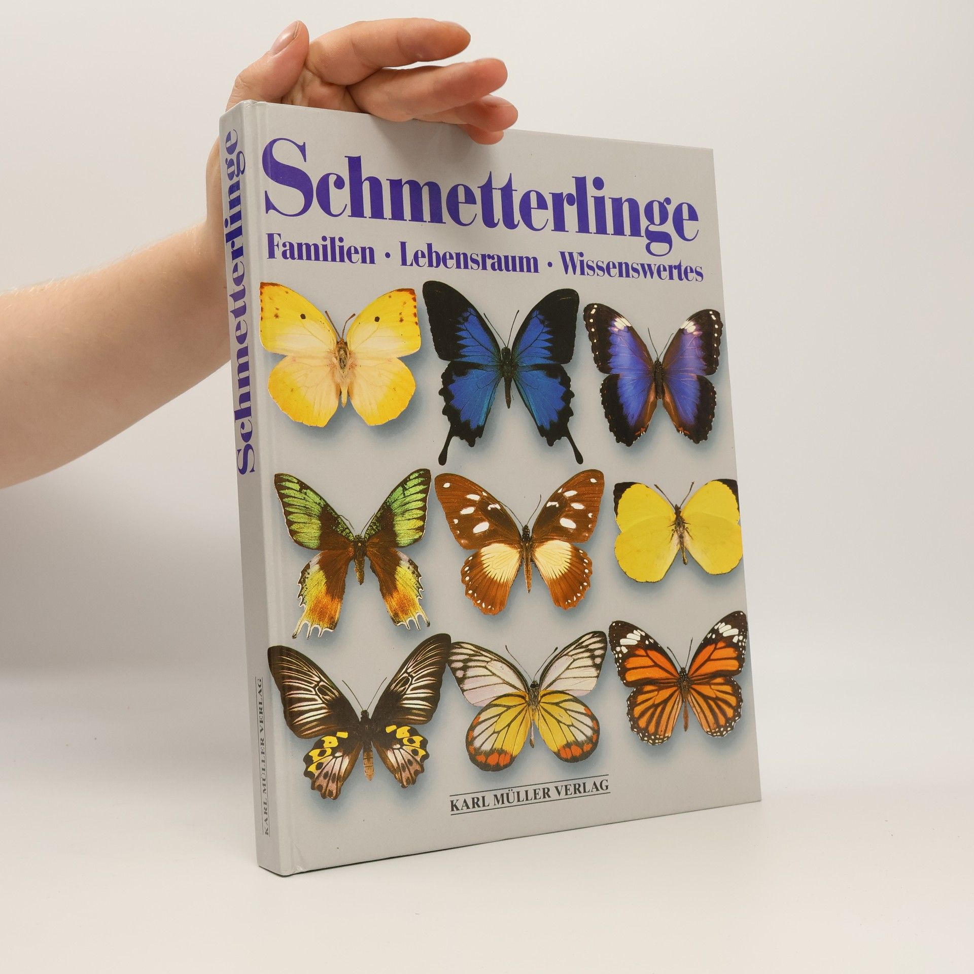 Michael Viard Schmetterlinge