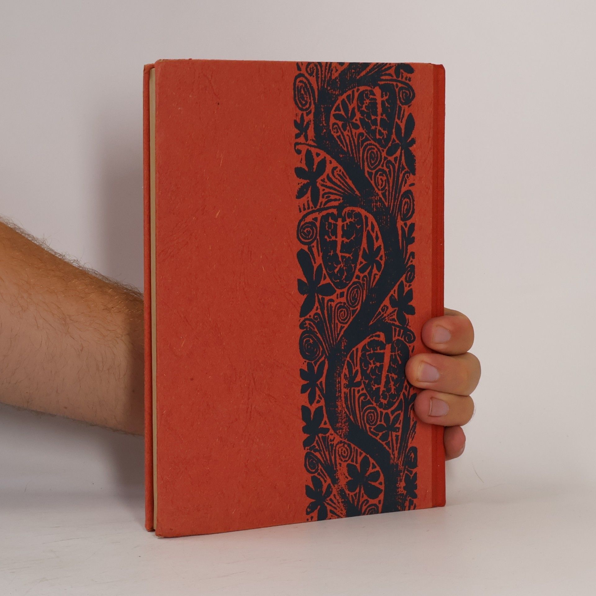 Autores varios Glaubensbuch