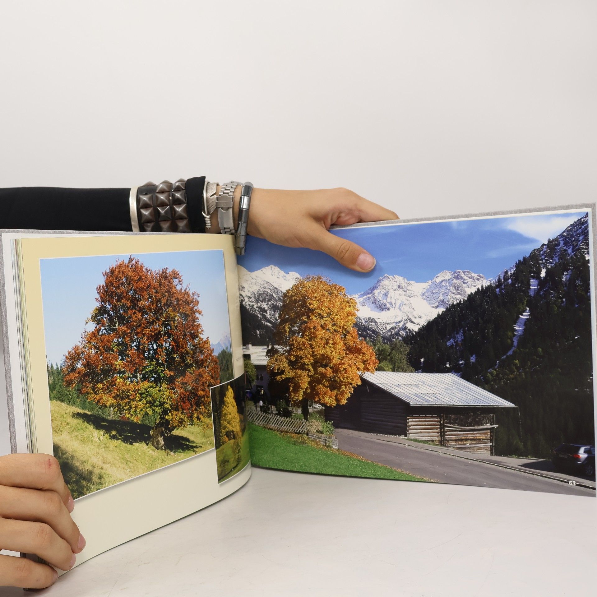 Karl Meusburger  Fotofaszination Kleinwalsertal