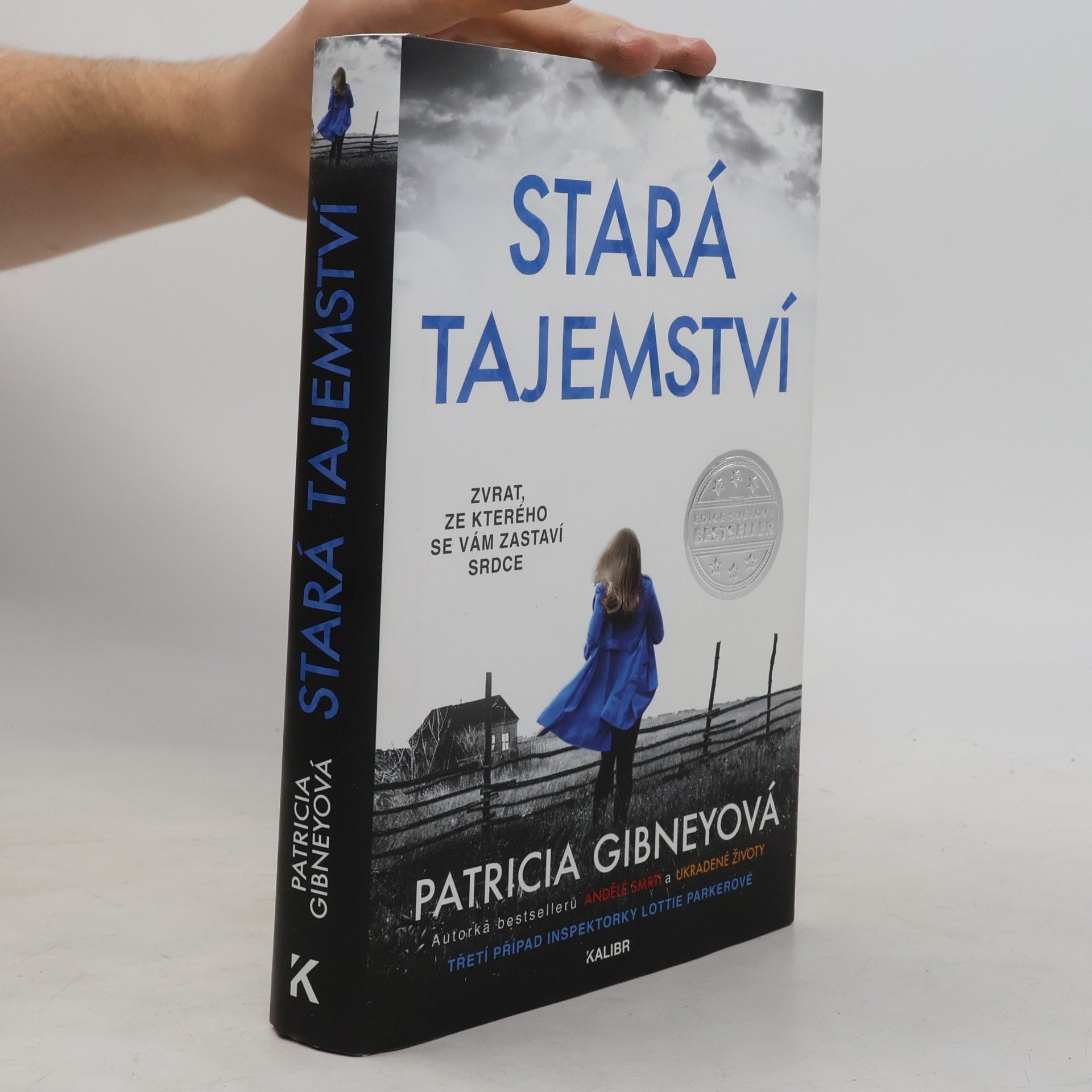 Patricia Gibney Stará tajemství