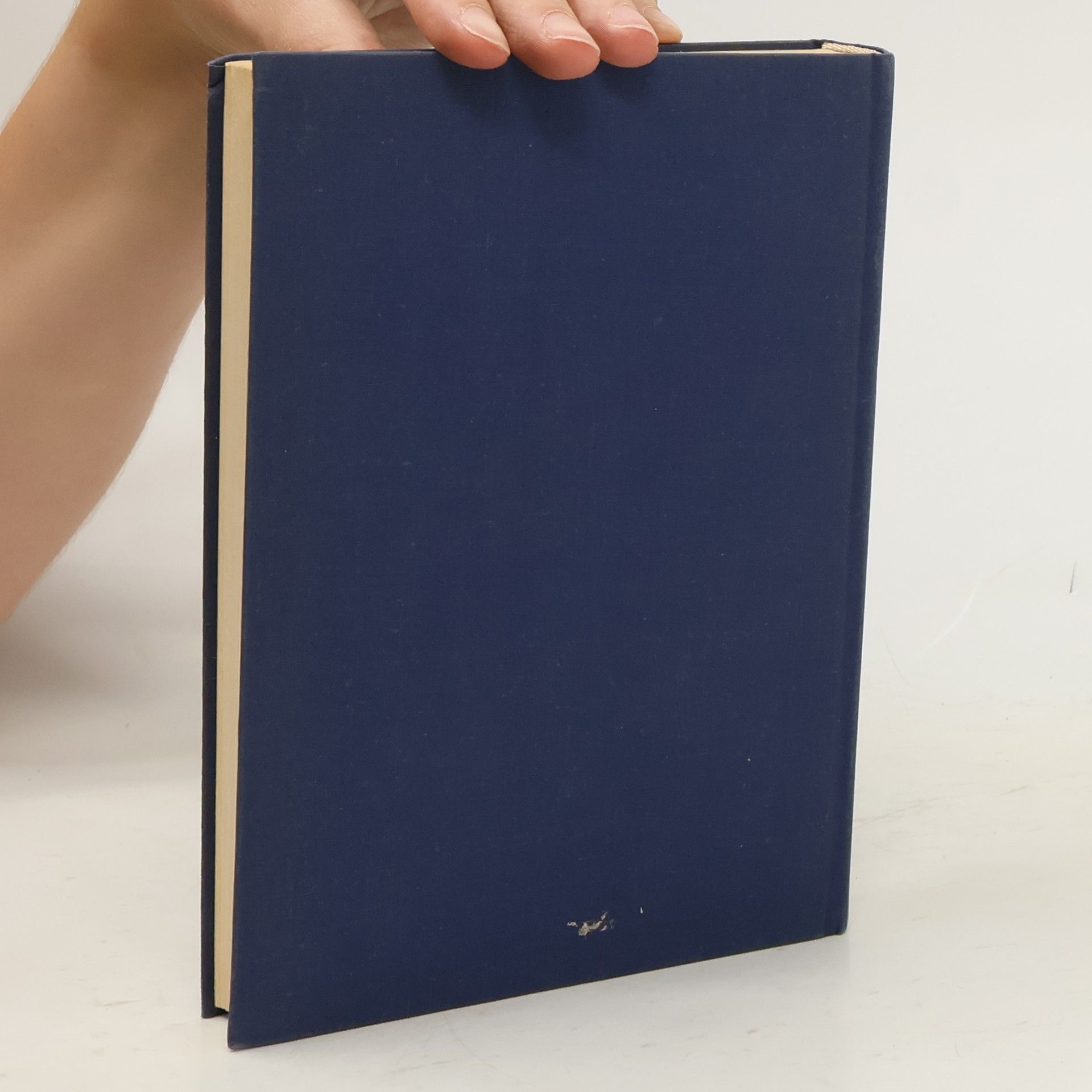 Karl Heyer Wer ist der deutsche Volksgeist? und andere Beiträge zur Geschichte