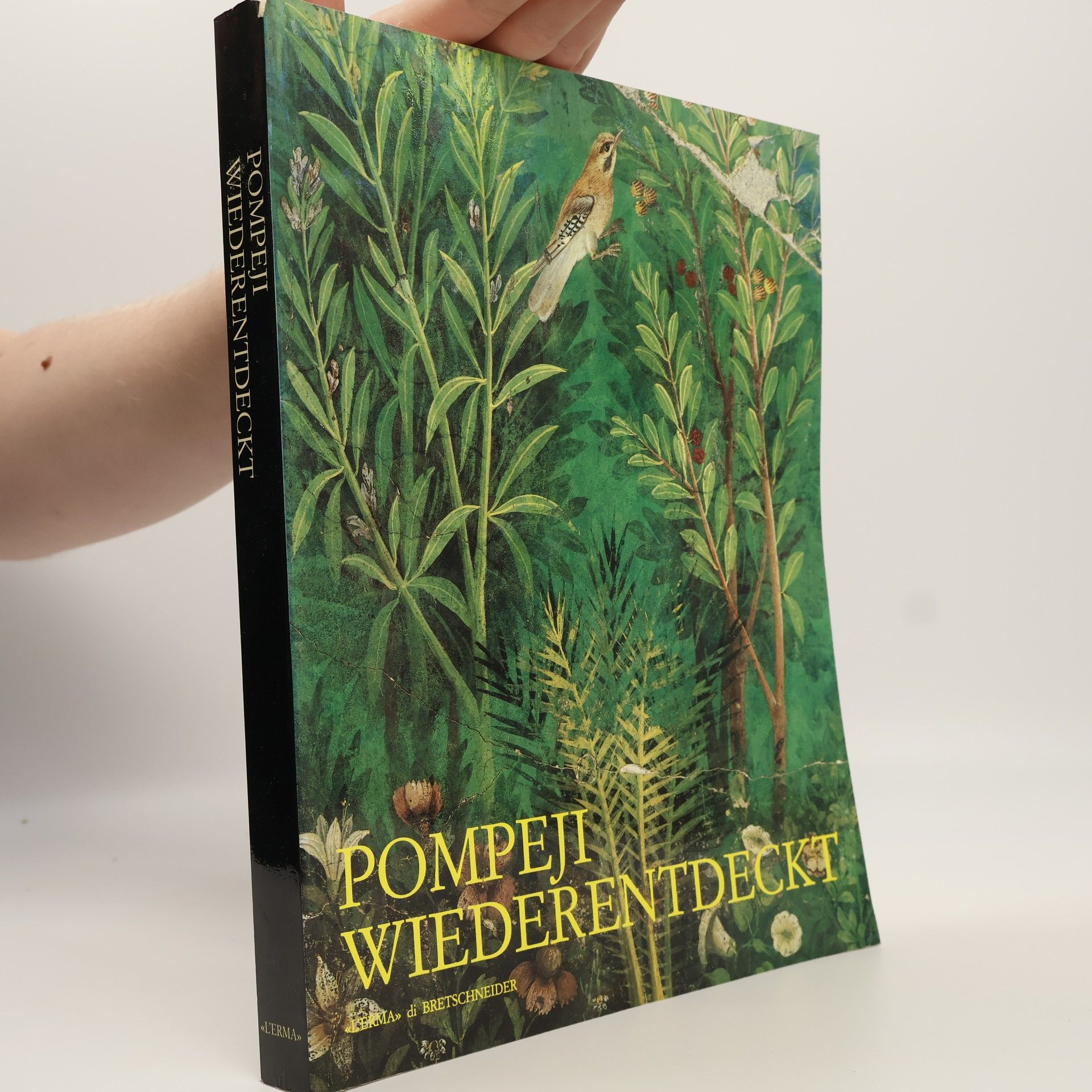 Luisa Franchi dellOrto Pompeji wiederentdeckt