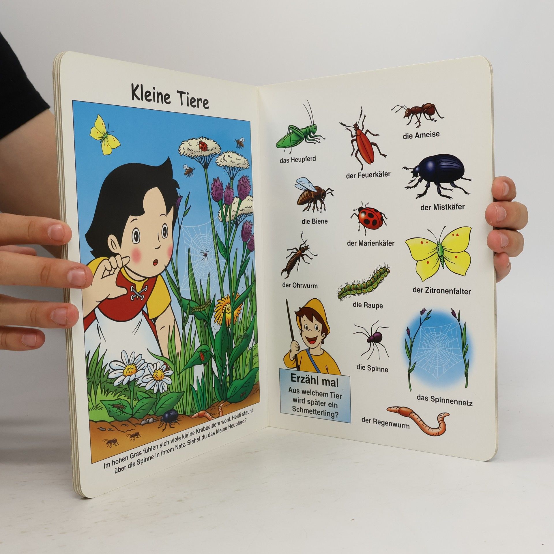 Various authors Mein Bildwörterbuch. Heidi Heidi