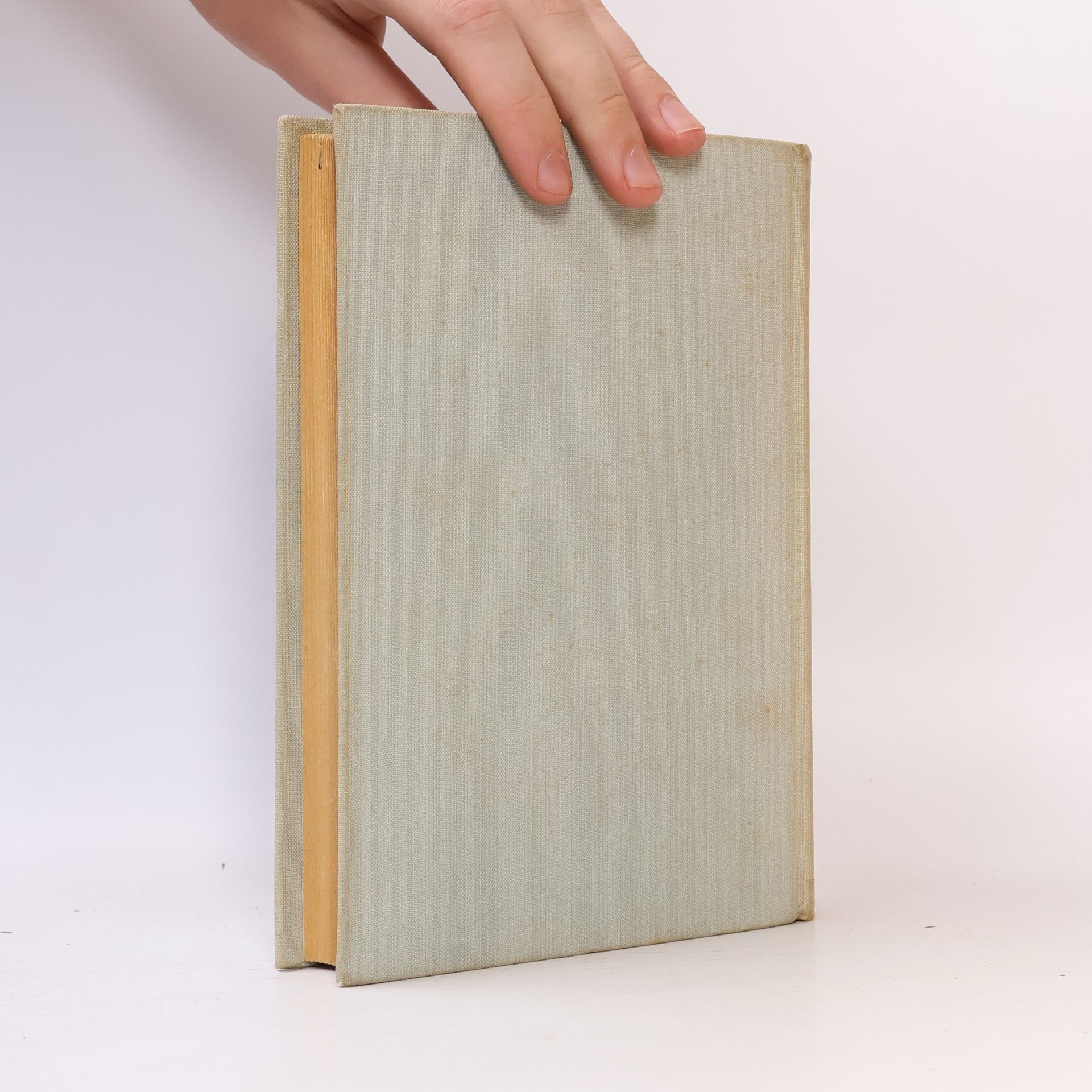 Autorenkollektiv Příruční slovník k dějinám KSČ. A-O
