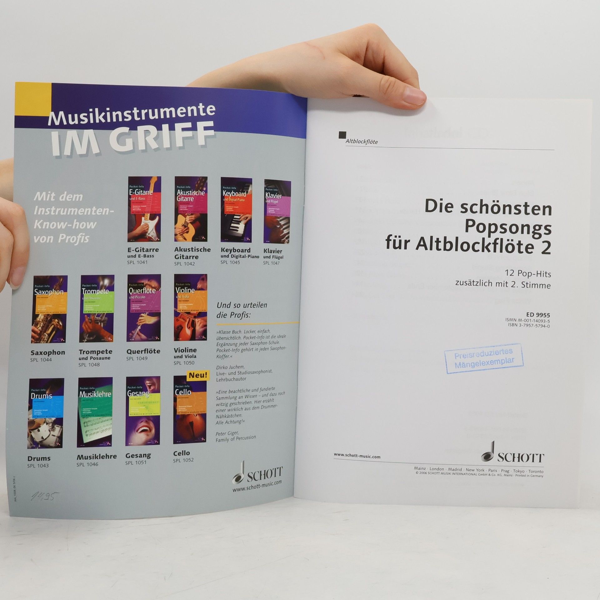 Die schönsten Popsongs für Alt-Blockflöte