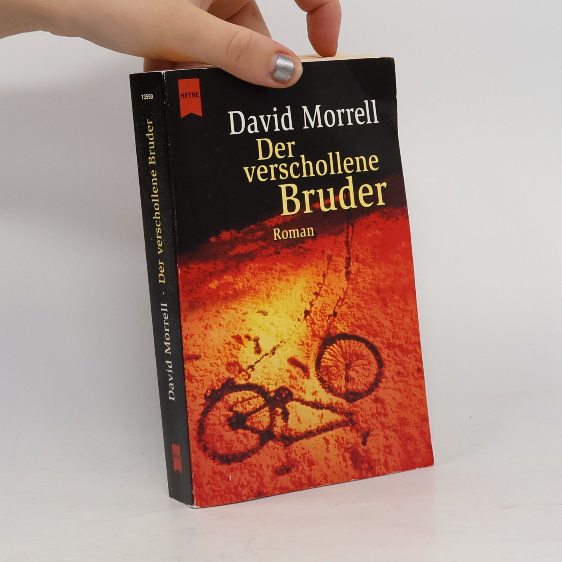 David Morrell Der verschollene Bruder