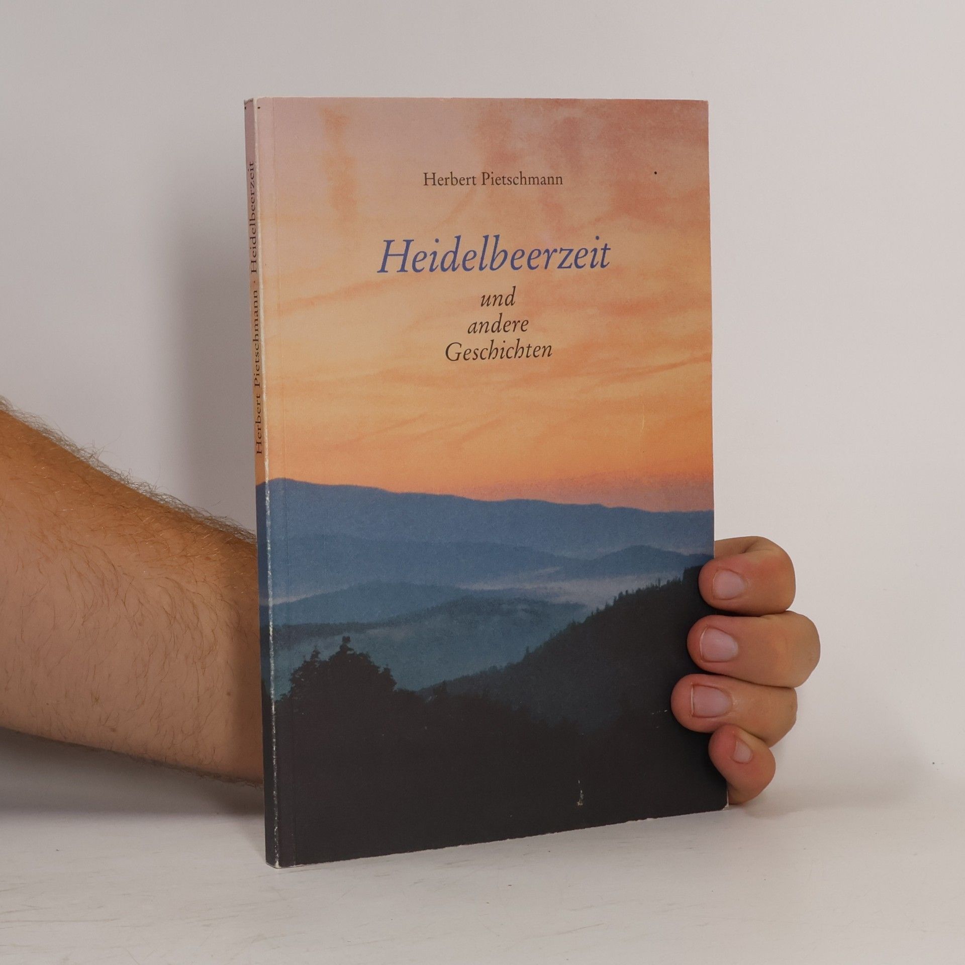 Heidelbeerzeit und andere Geschichten
