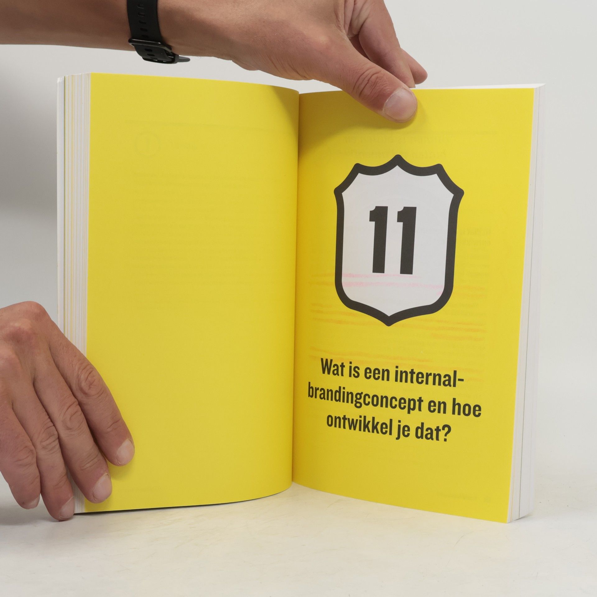 van Beers, Luc Internal branding 2.0