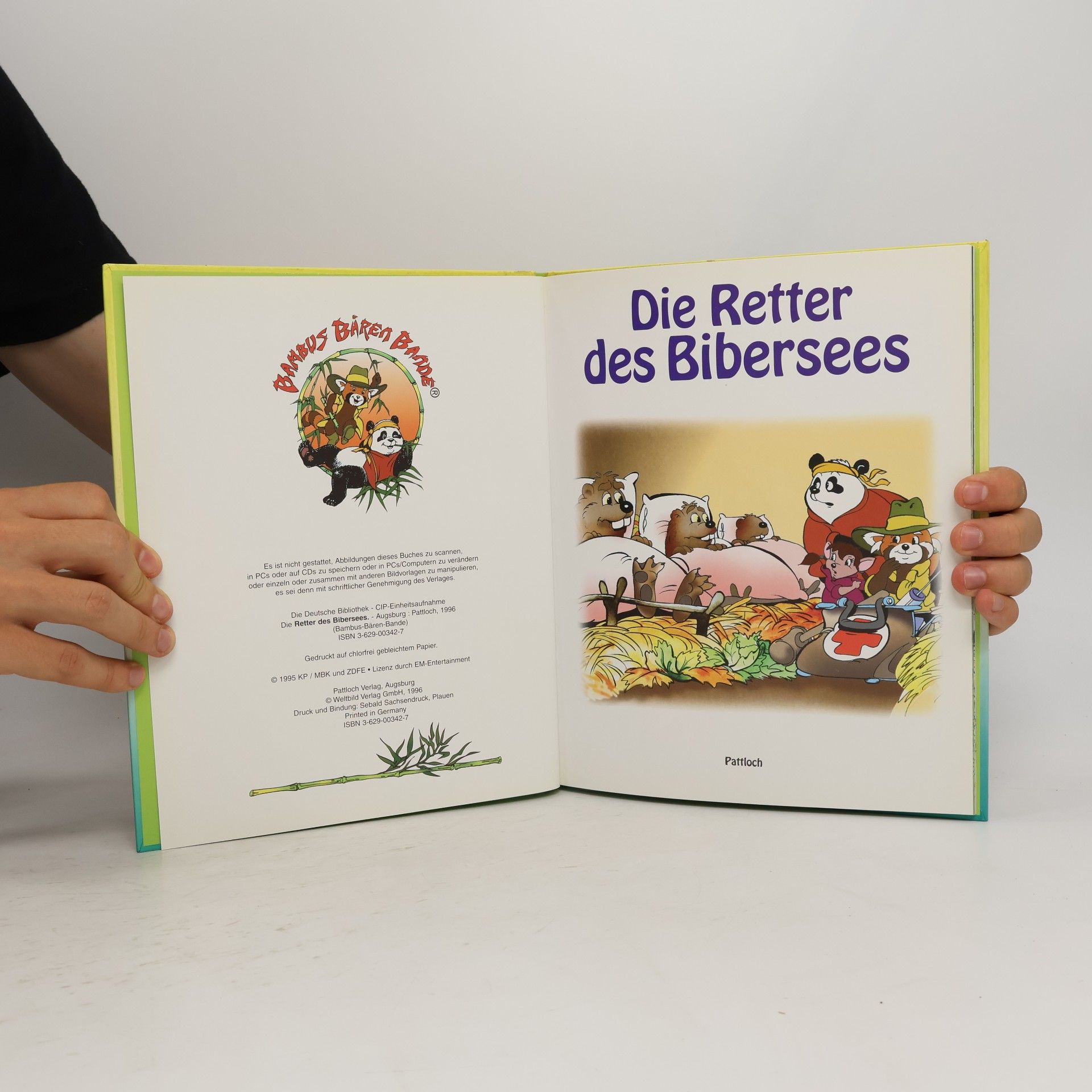 Bambus Bären Bande: Die Retter des Bibersees