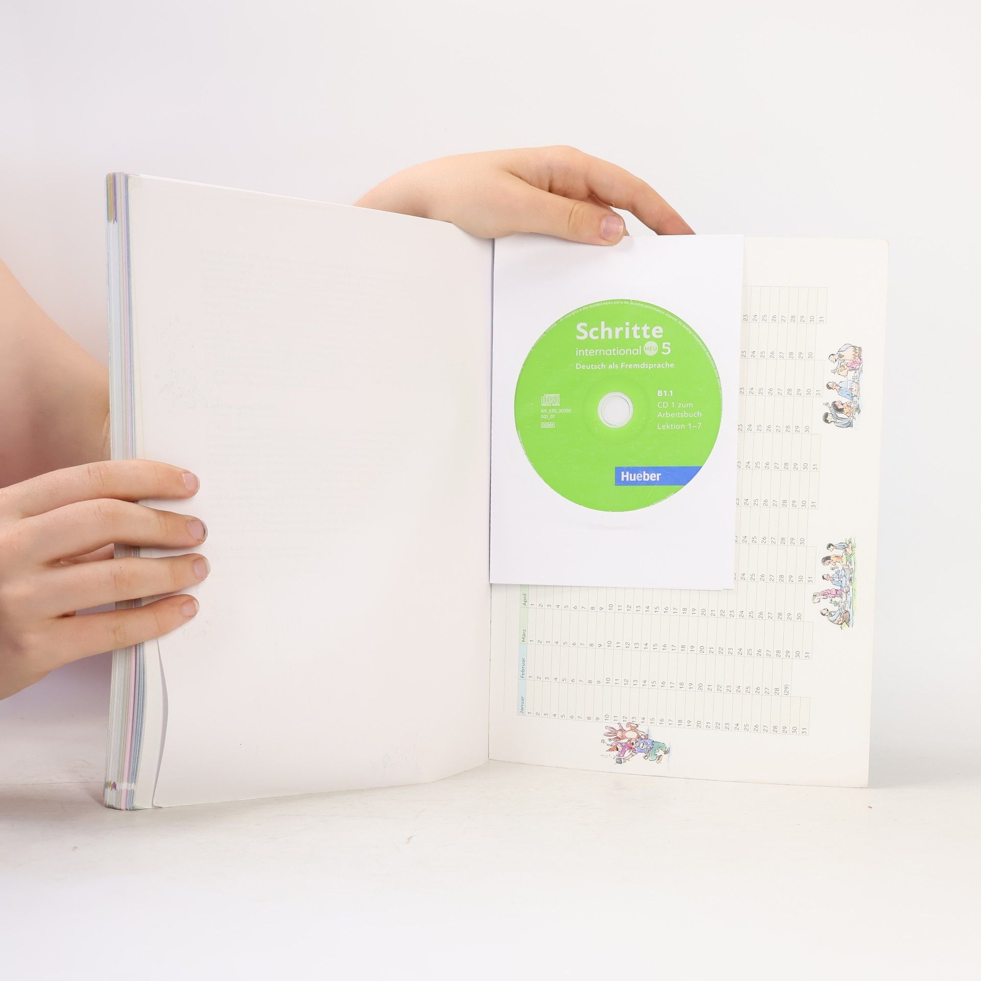 Silke Hilpert Schritte international Neu 5 : Niveau B1