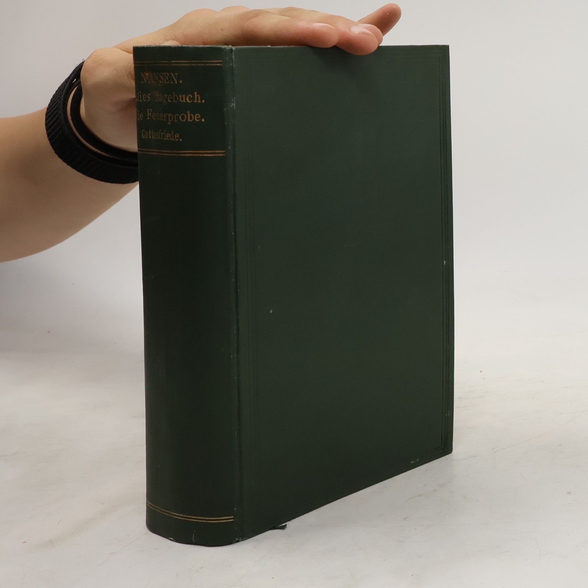 Peter Nansen Julies Tagebuch. Die Feuerprobe. Gottesfriede