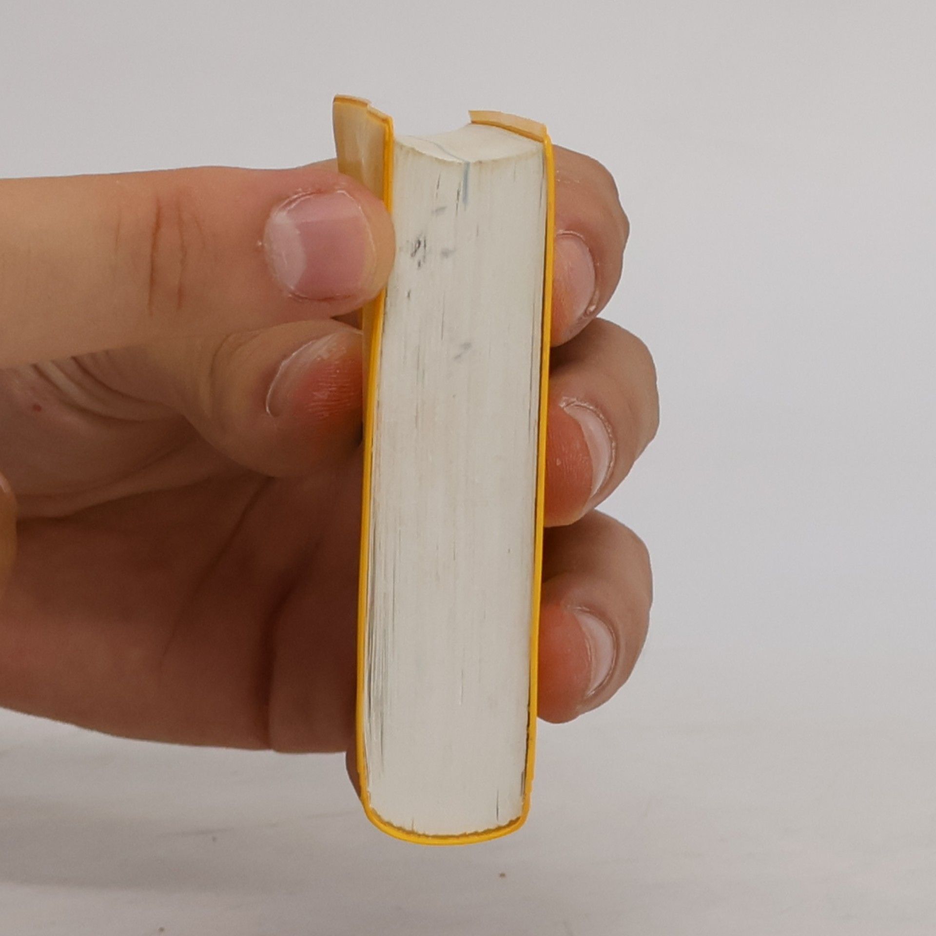 Susanne Brudermüller Langenscheidt, Universal-Wörterbuch Slowakisch
