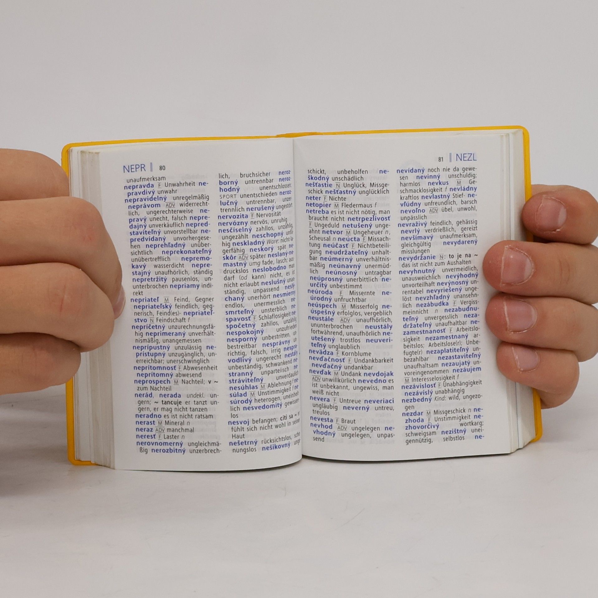 Susanne Brudermüller Langenscheidt, Universal-Wörterbuch Slowakisch