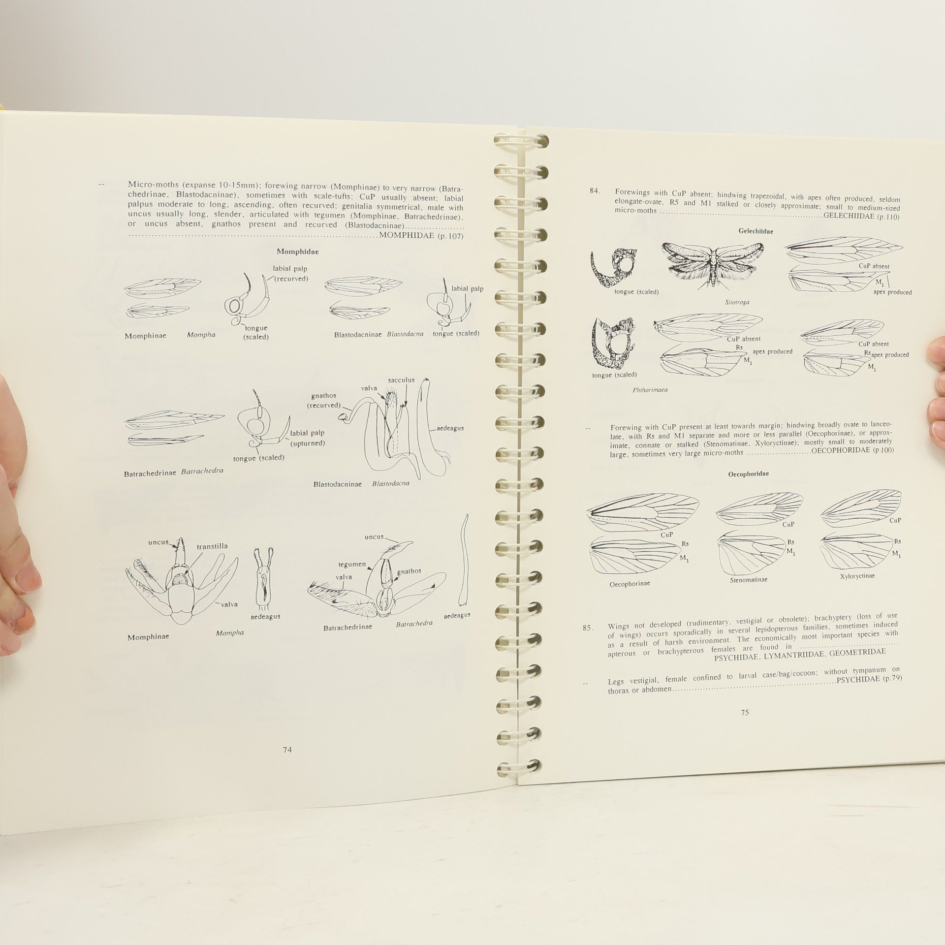 J. D. Holloway IIE Guides to Insects of Importance to Man