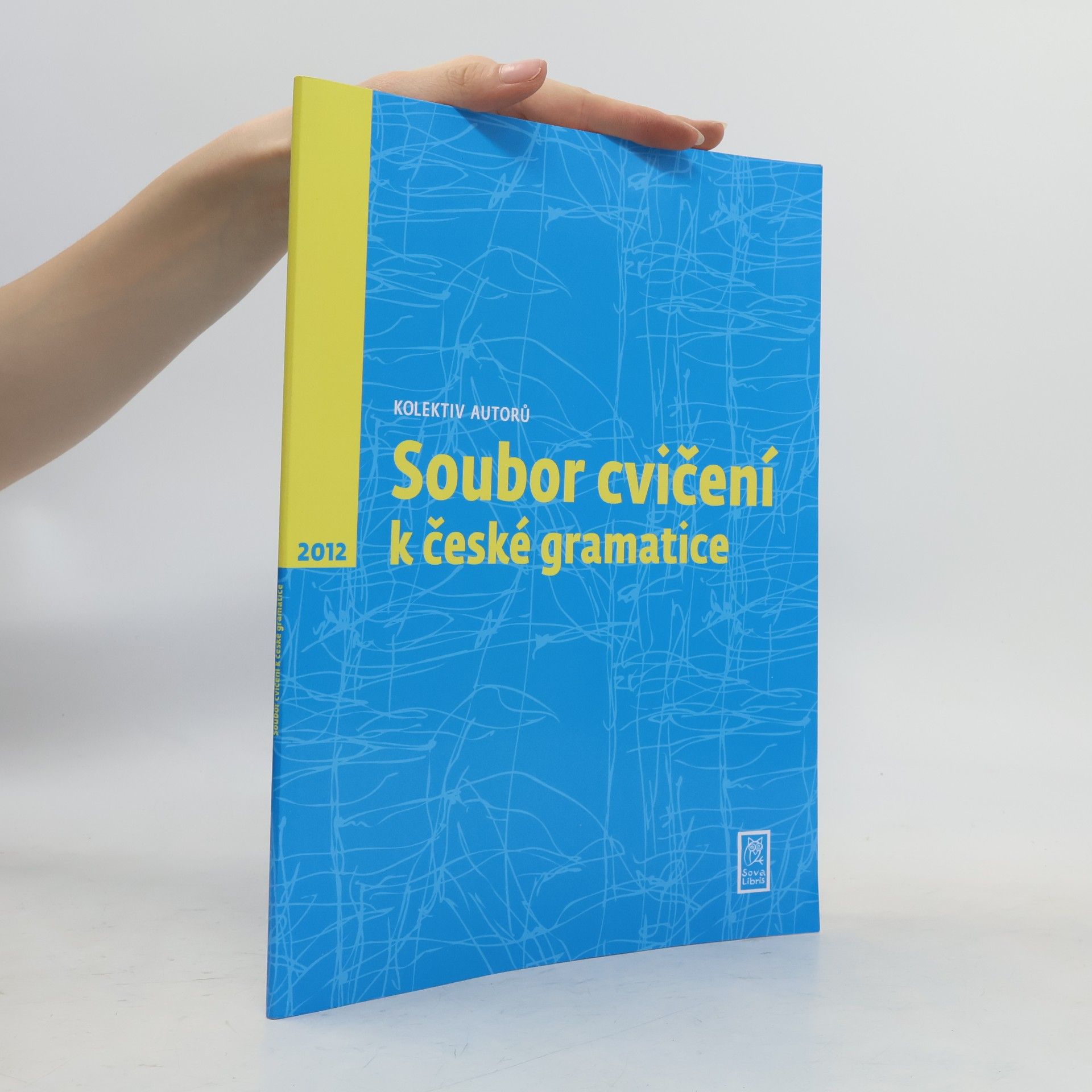 Various authors Soubor cvičení k české gramatice