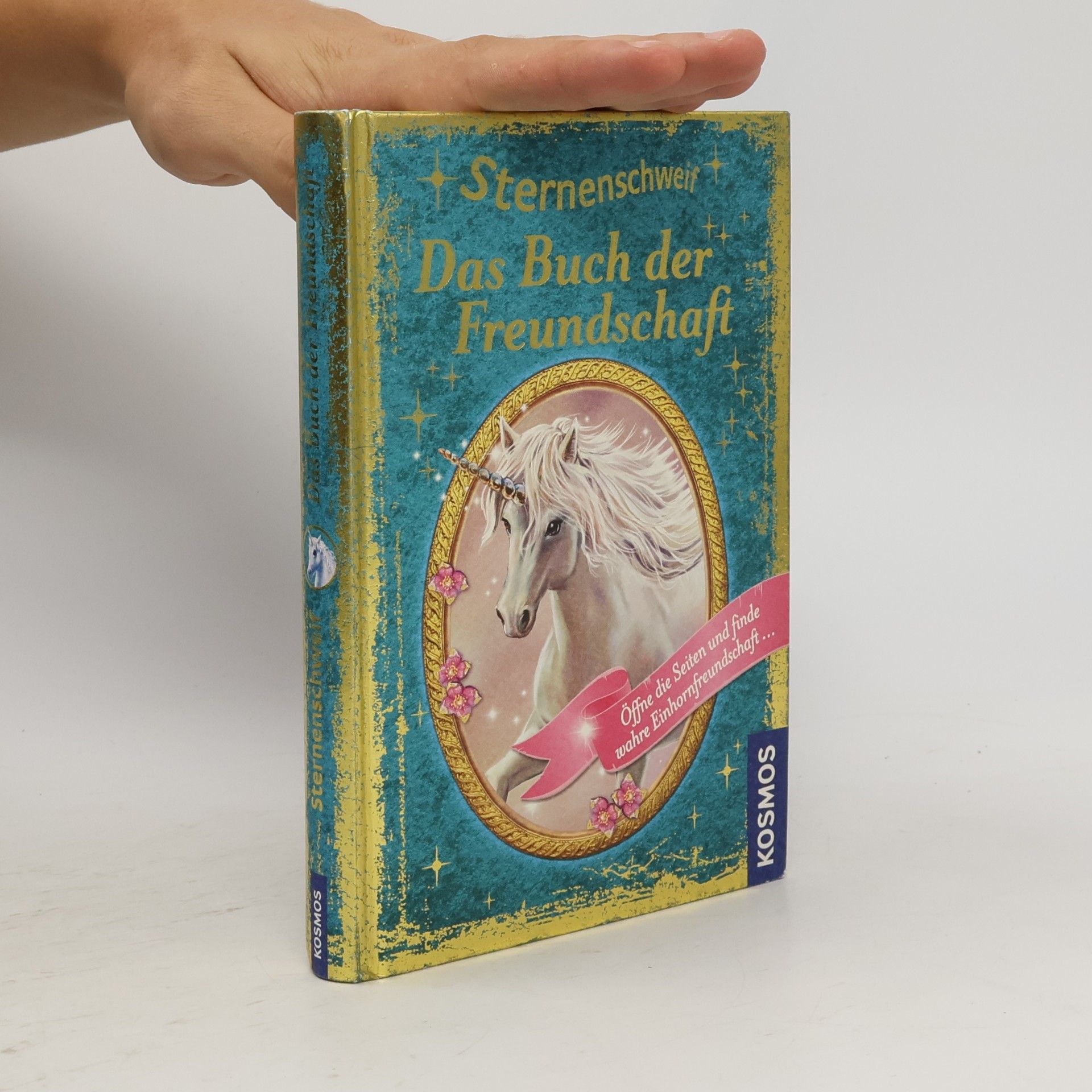 Linda Champan Sternenschweif. Das Buch der Ferundschaft