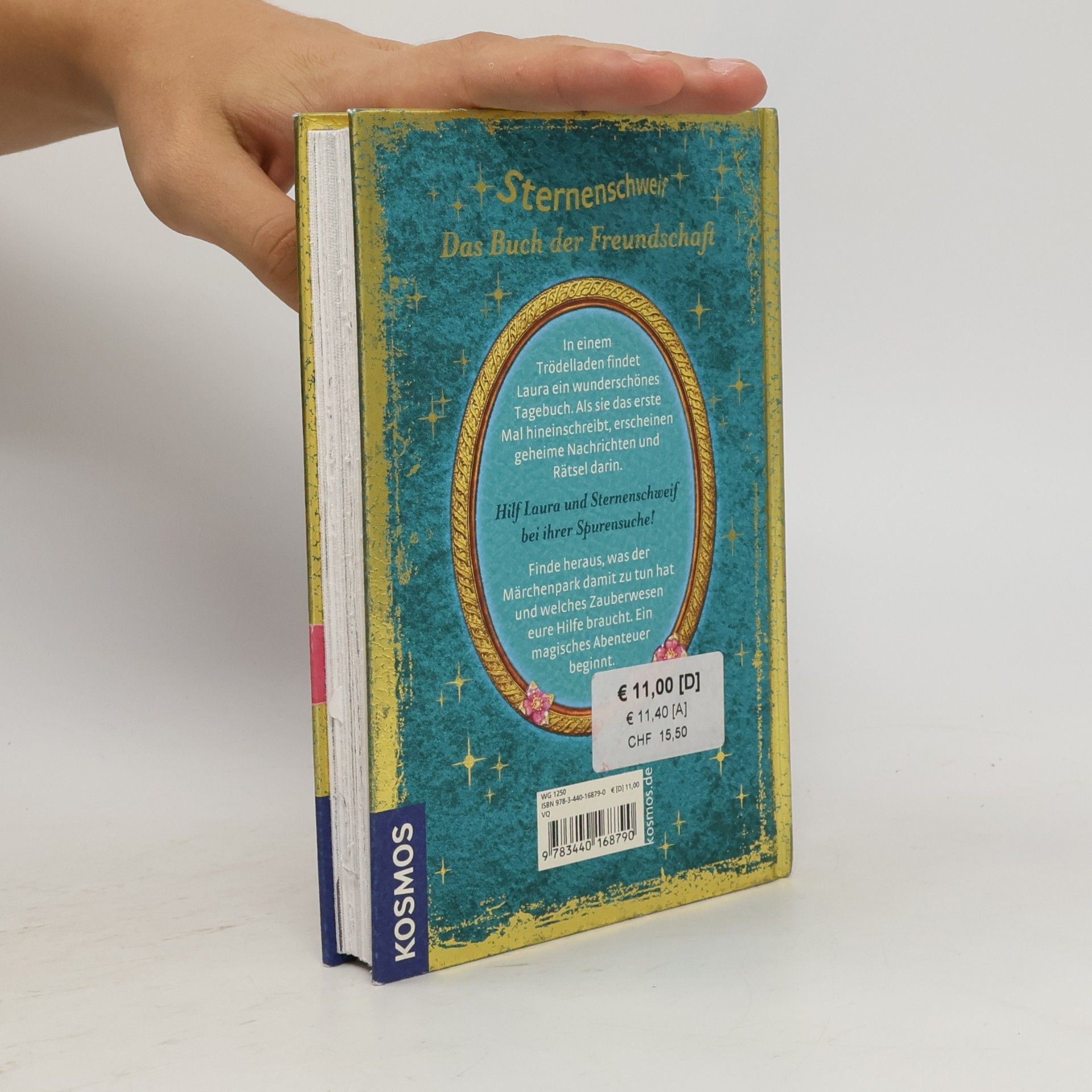Linda Champan Sternenschweif. Das Buch der Ferundschaft