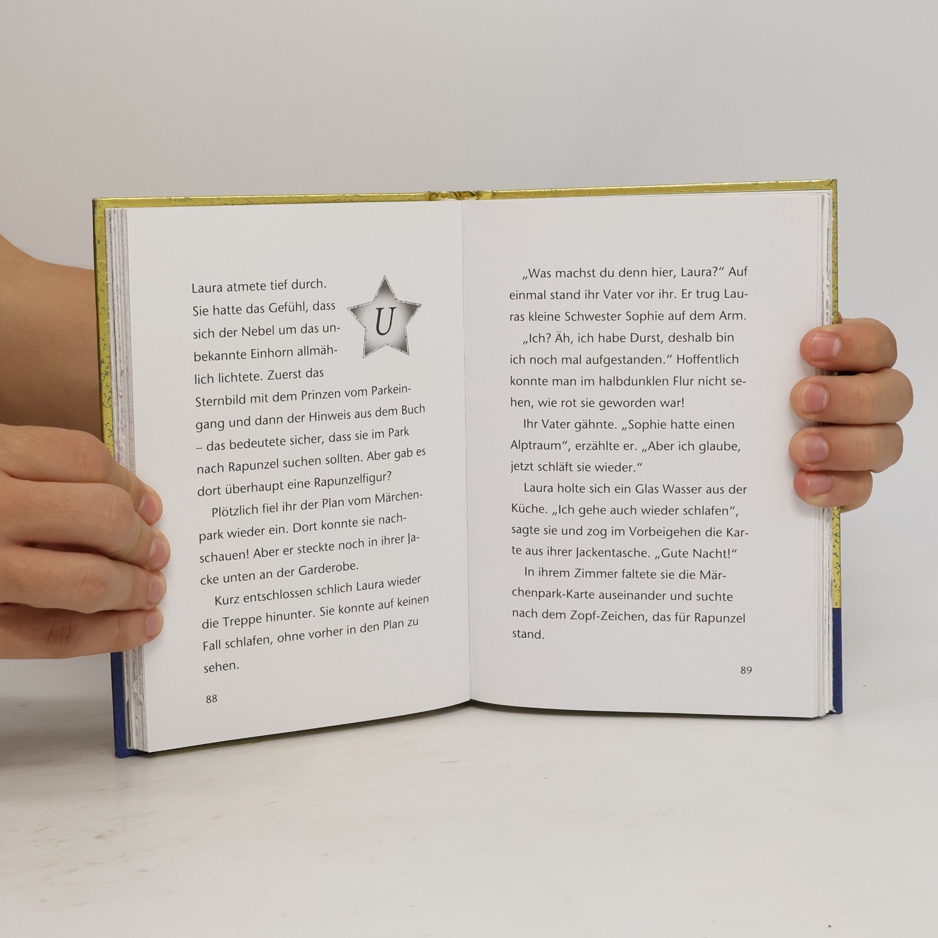 Linda Champan Sternenschweif. Das Buch der Ferundschaft