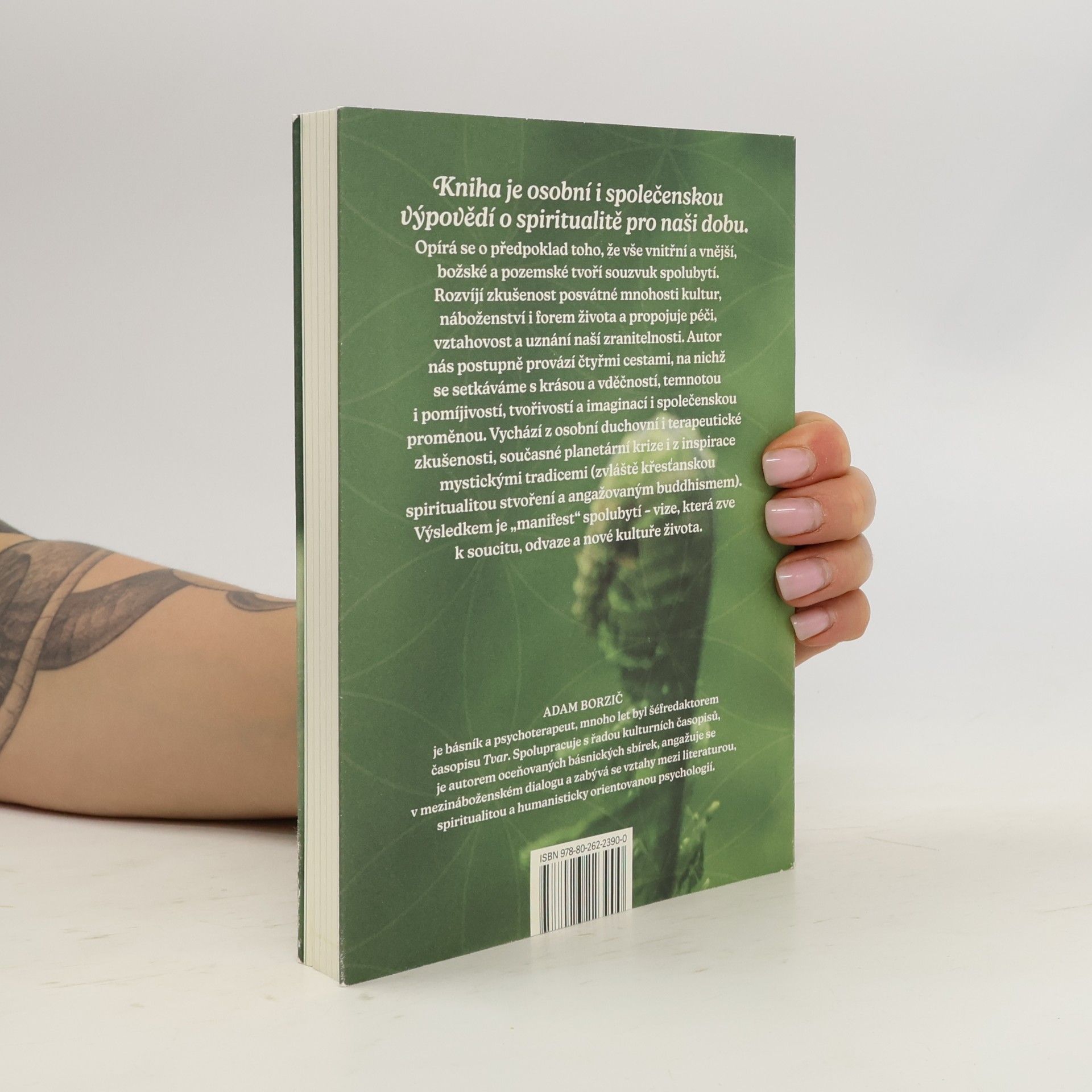 Adam Borzič Spiritualita posvátné Země: Divoká cesta spolubytí